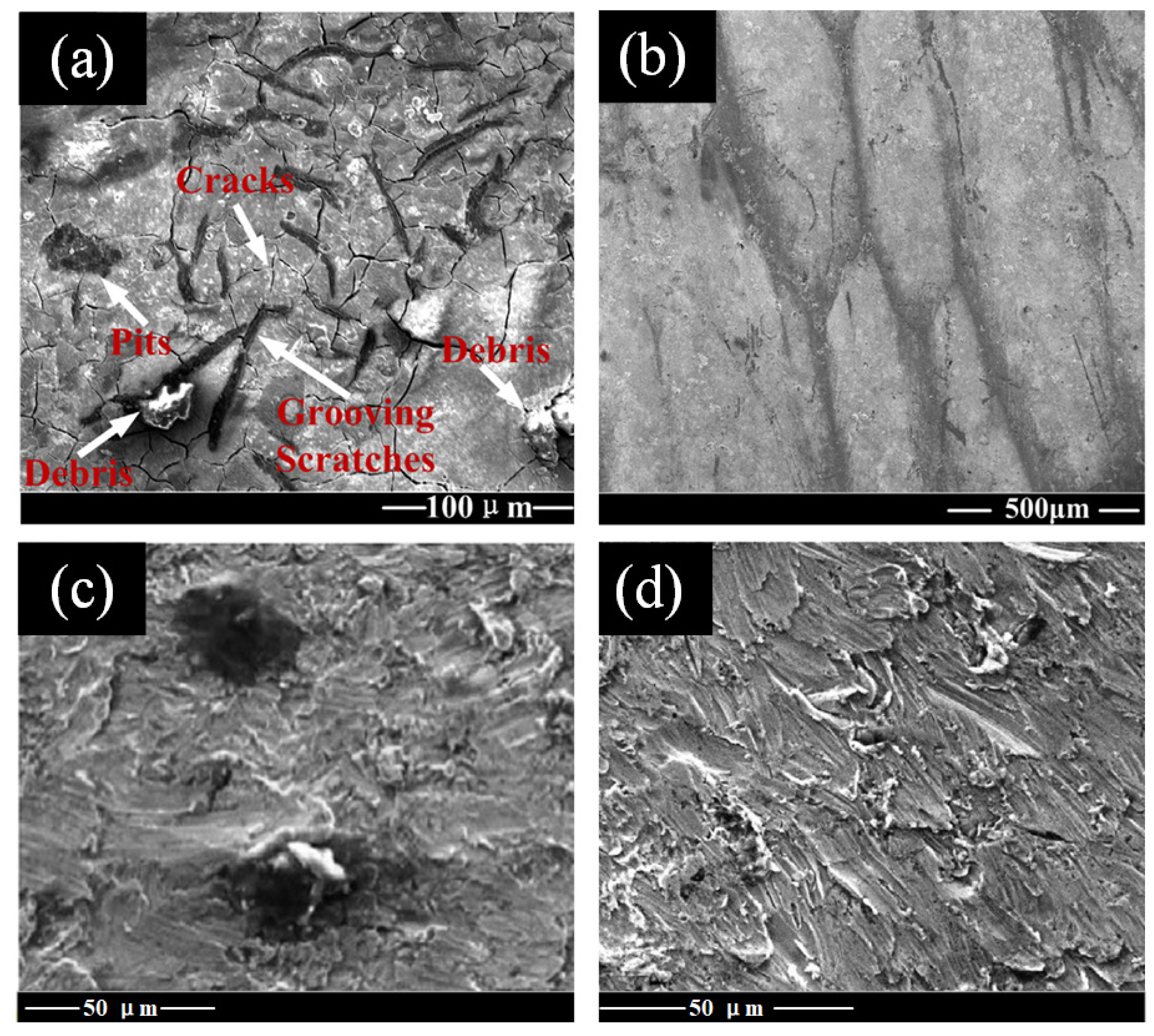 Processes 12 01150 g011