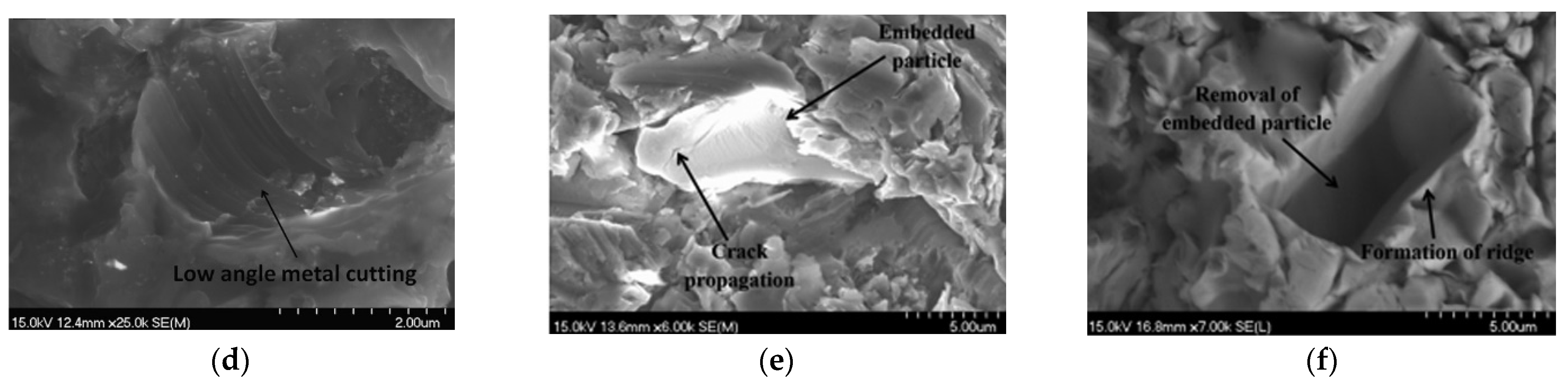 Processes 12 01150 g026b