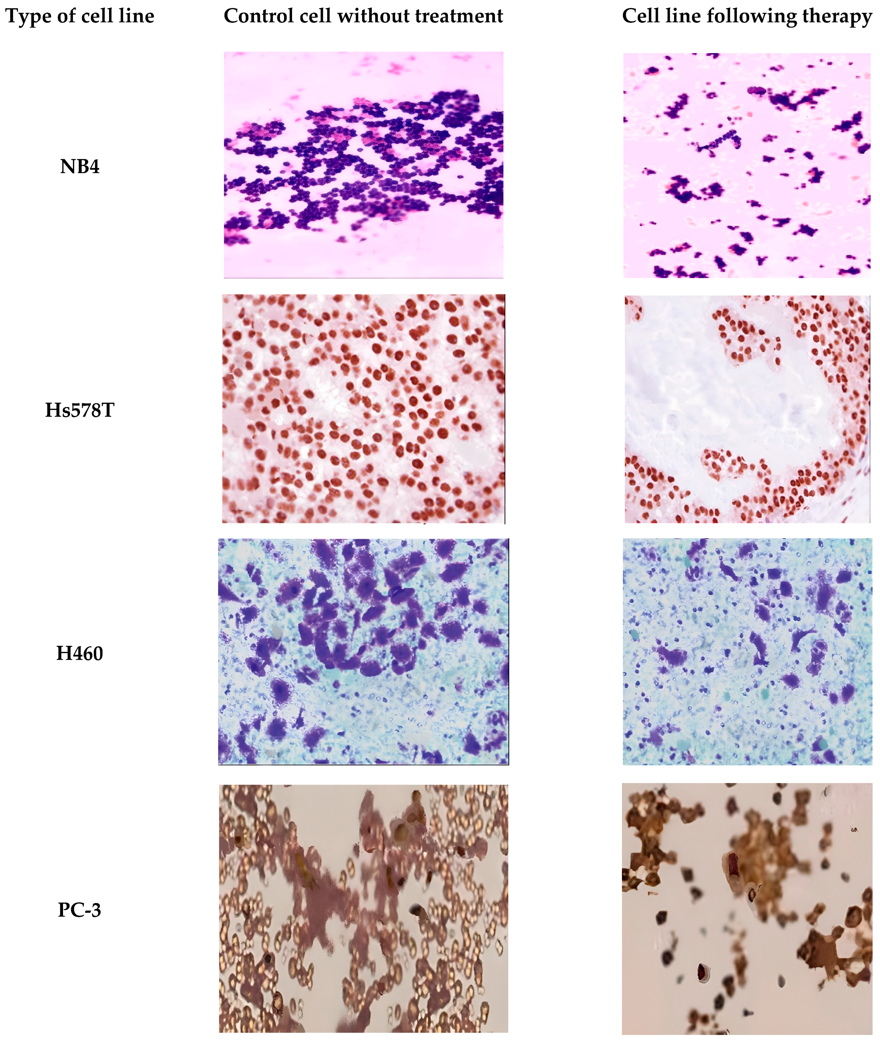 Processes 12 01177 g003