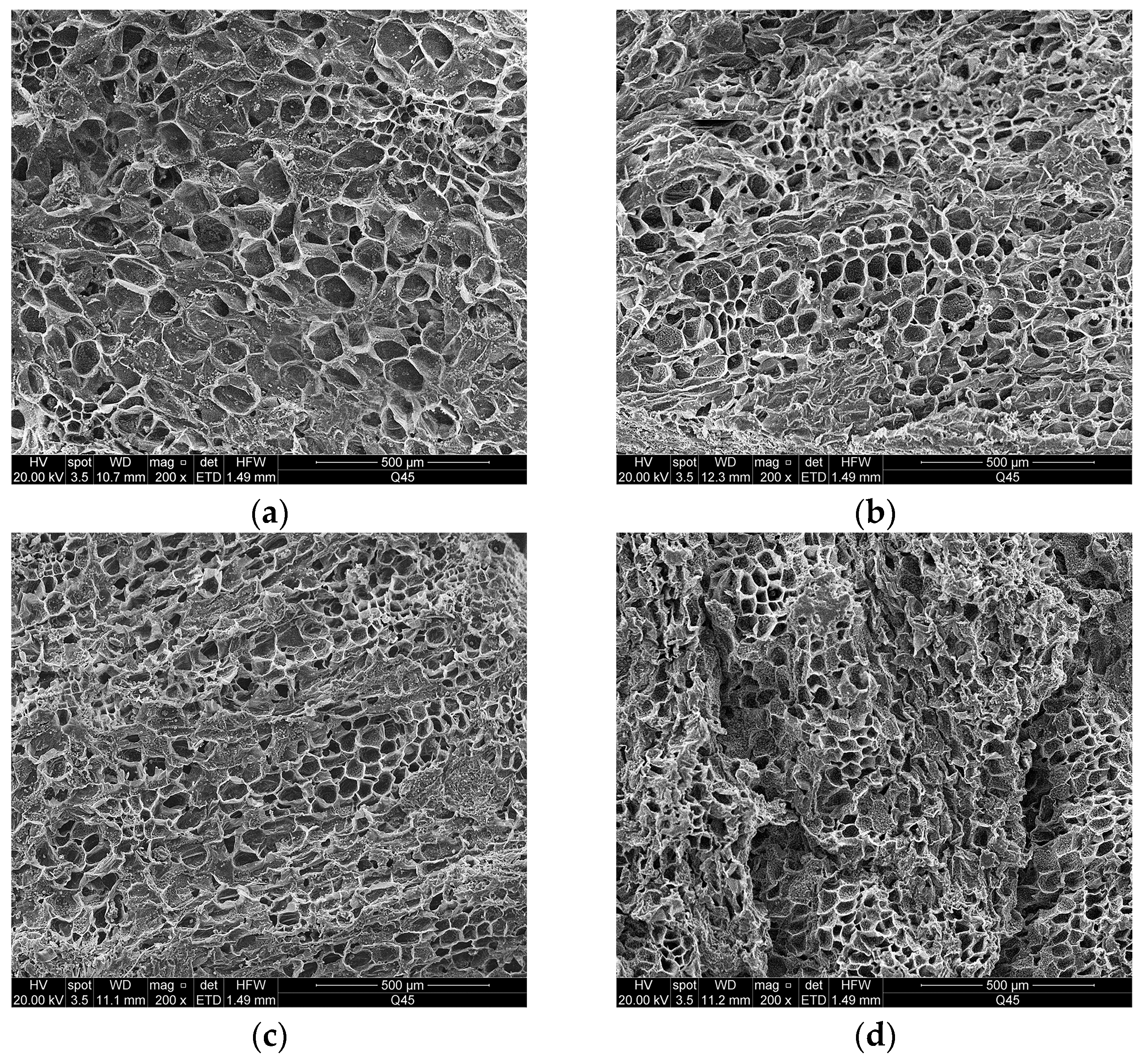 Processes 12 01226 g005