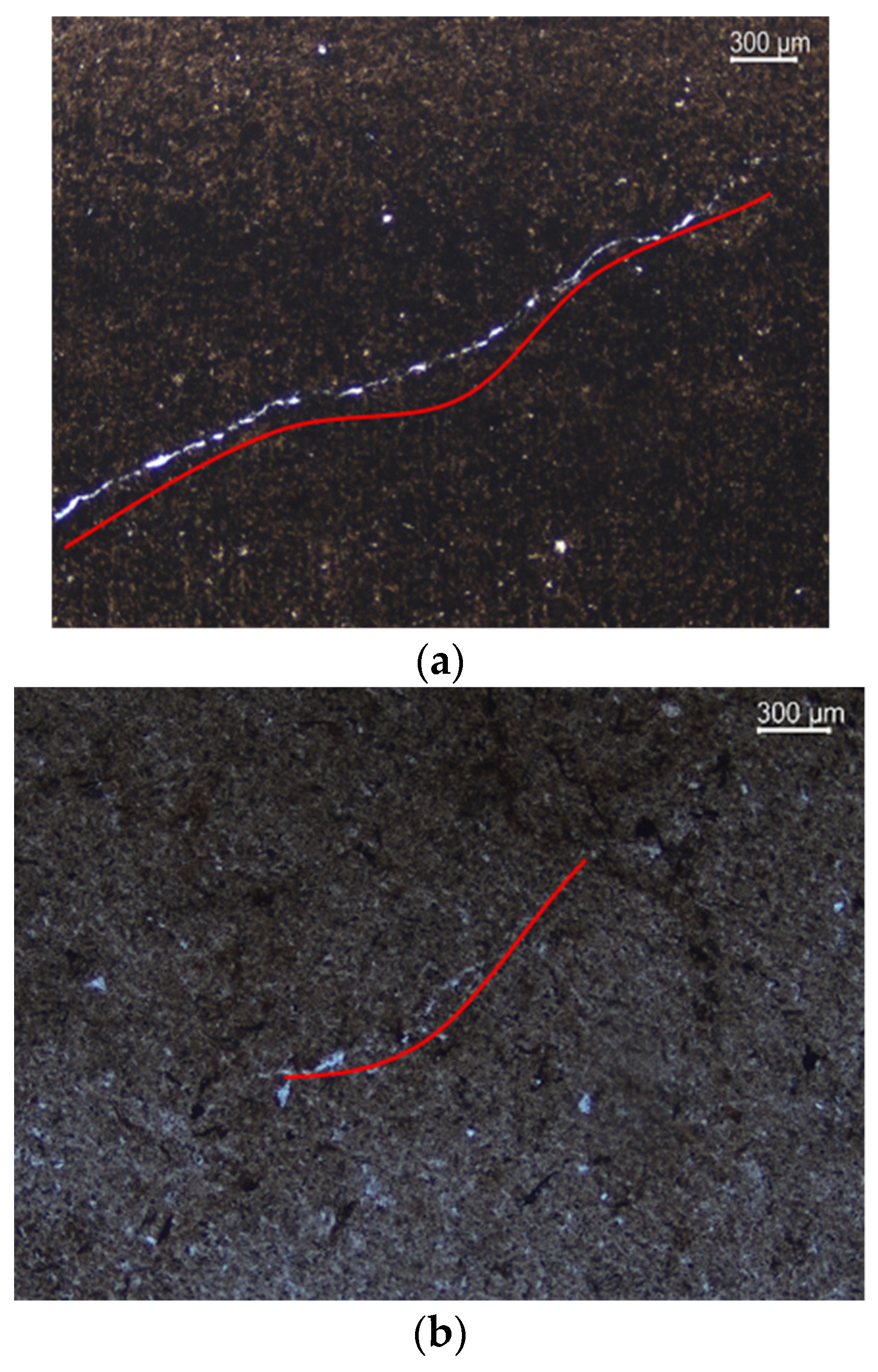 Processes 12 01261 g003