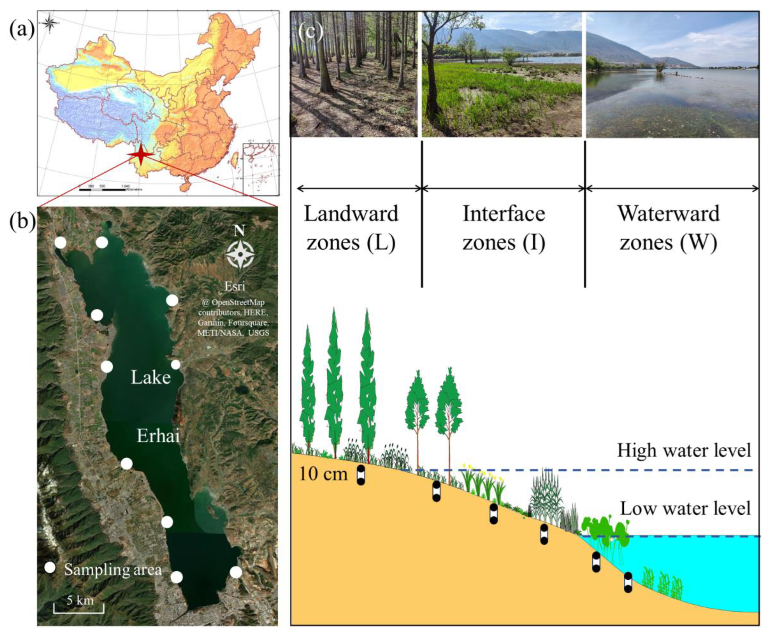 Processes 12 01276 g001
