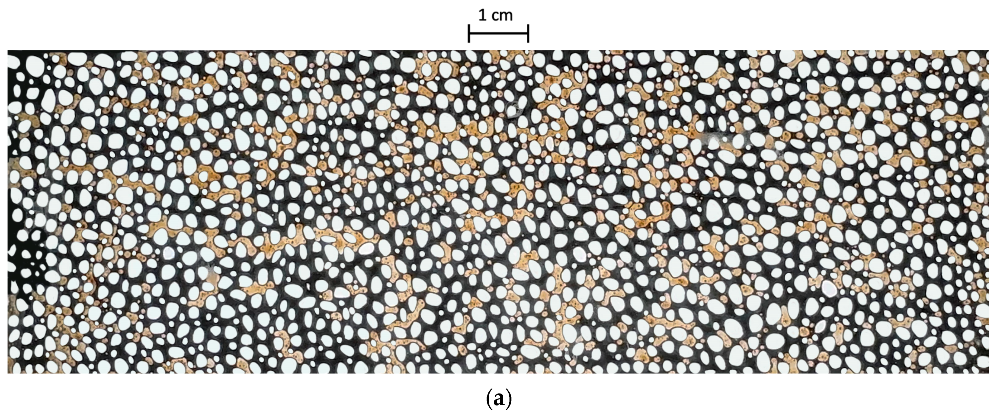 Processes 12 01305 g007a