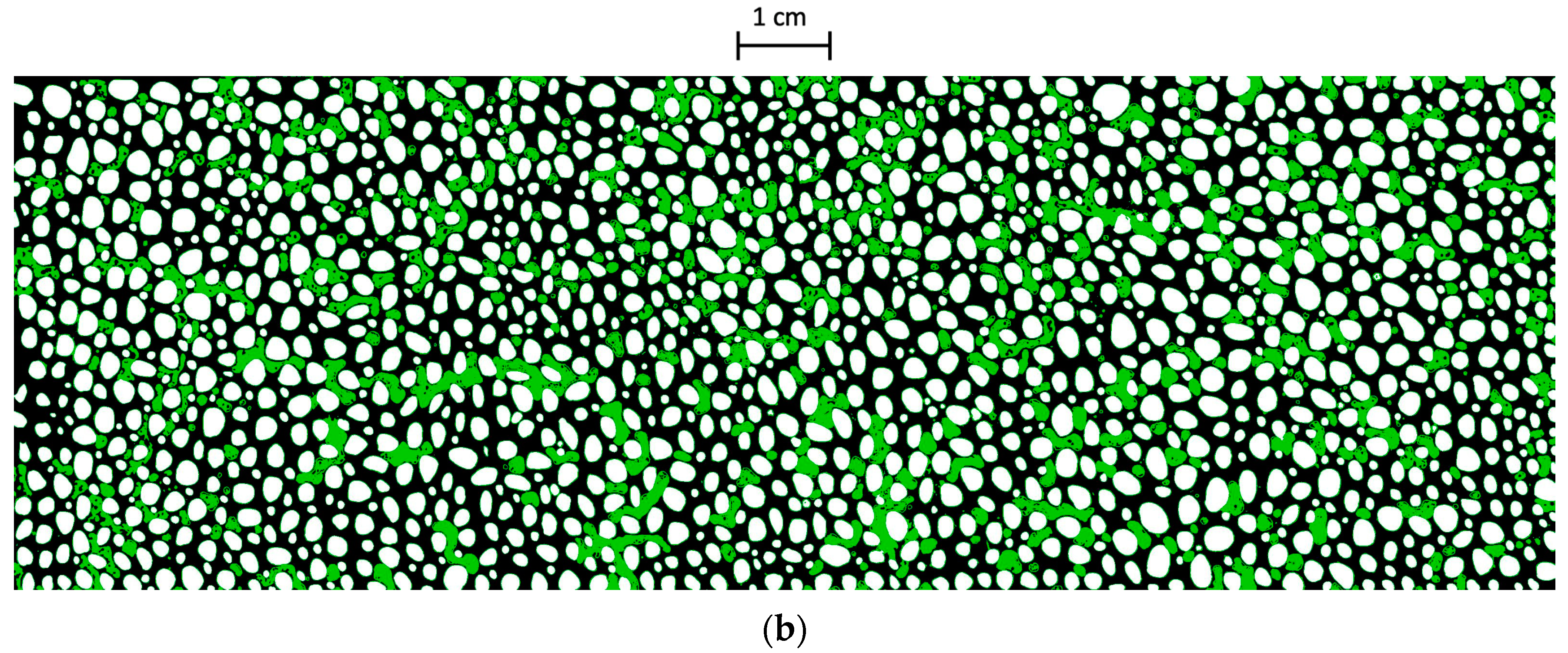 Processes 12 01305 g007b