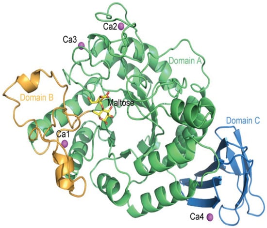 Processes 12 01341 g002