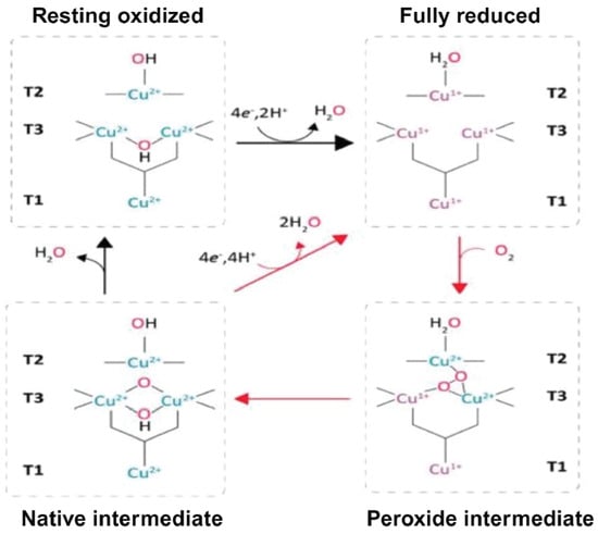 Processes 12 01341 g006