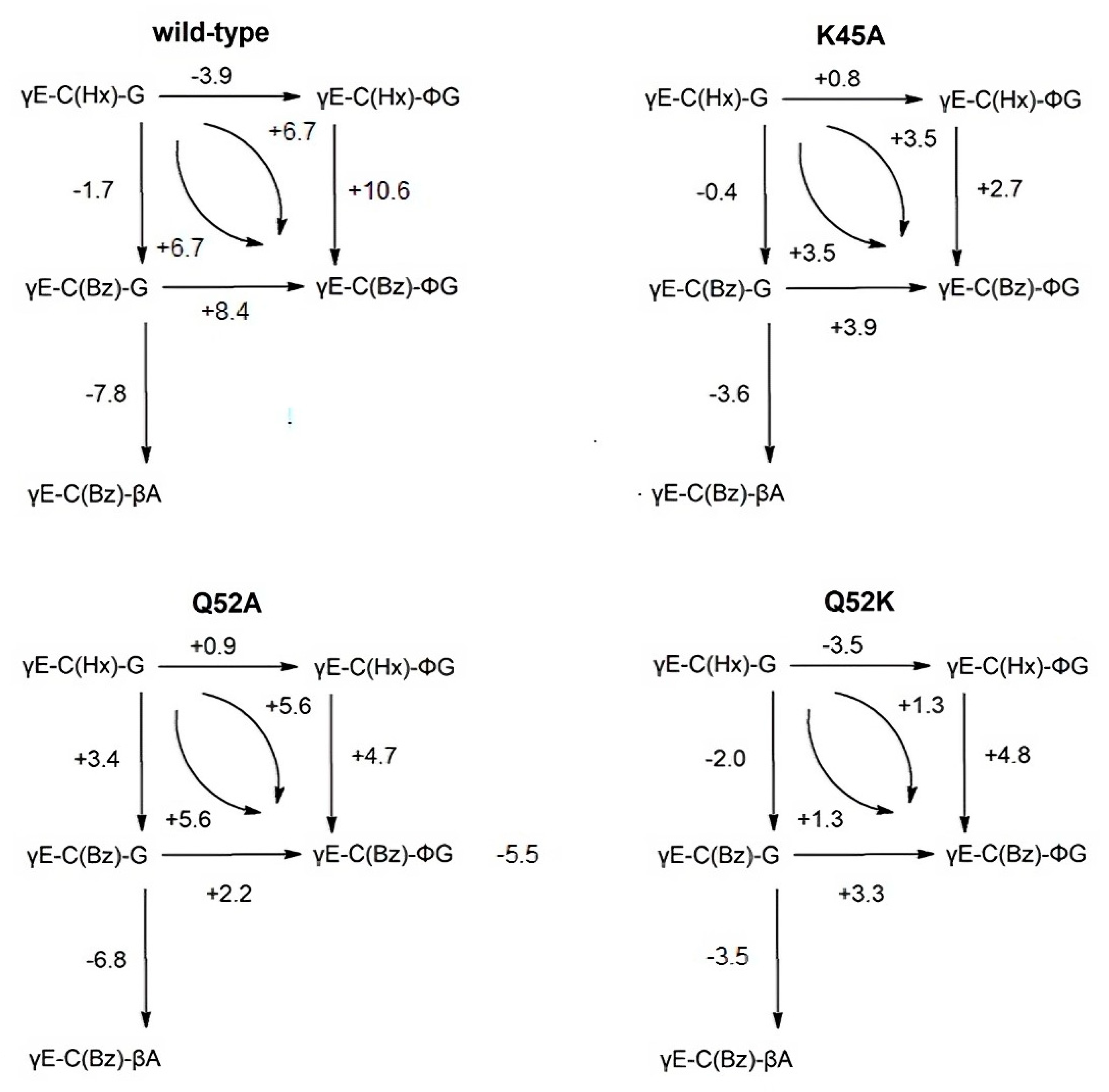 Processes 12 01343 g003