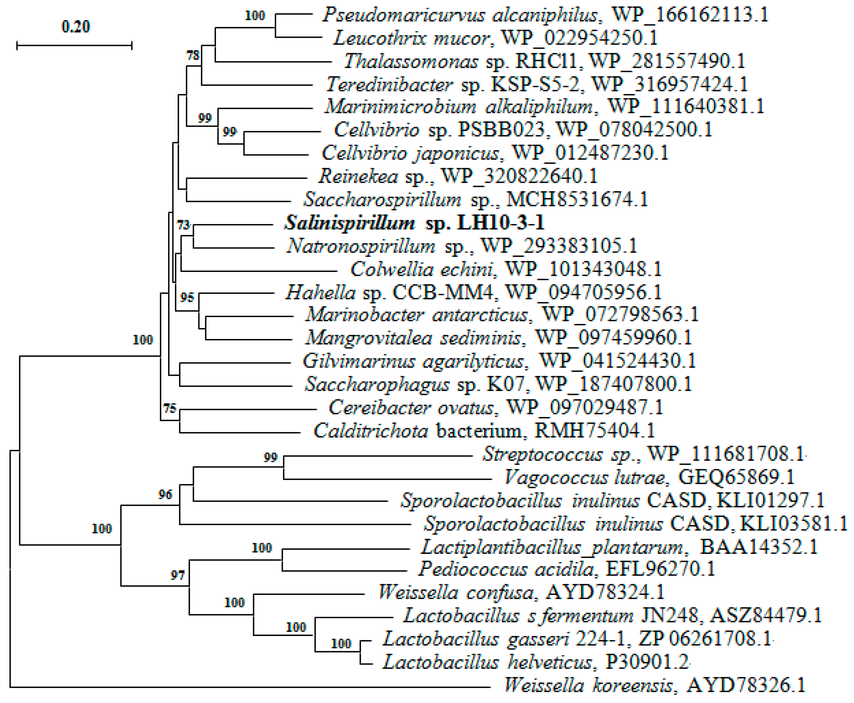 Processes 12 01349 g002