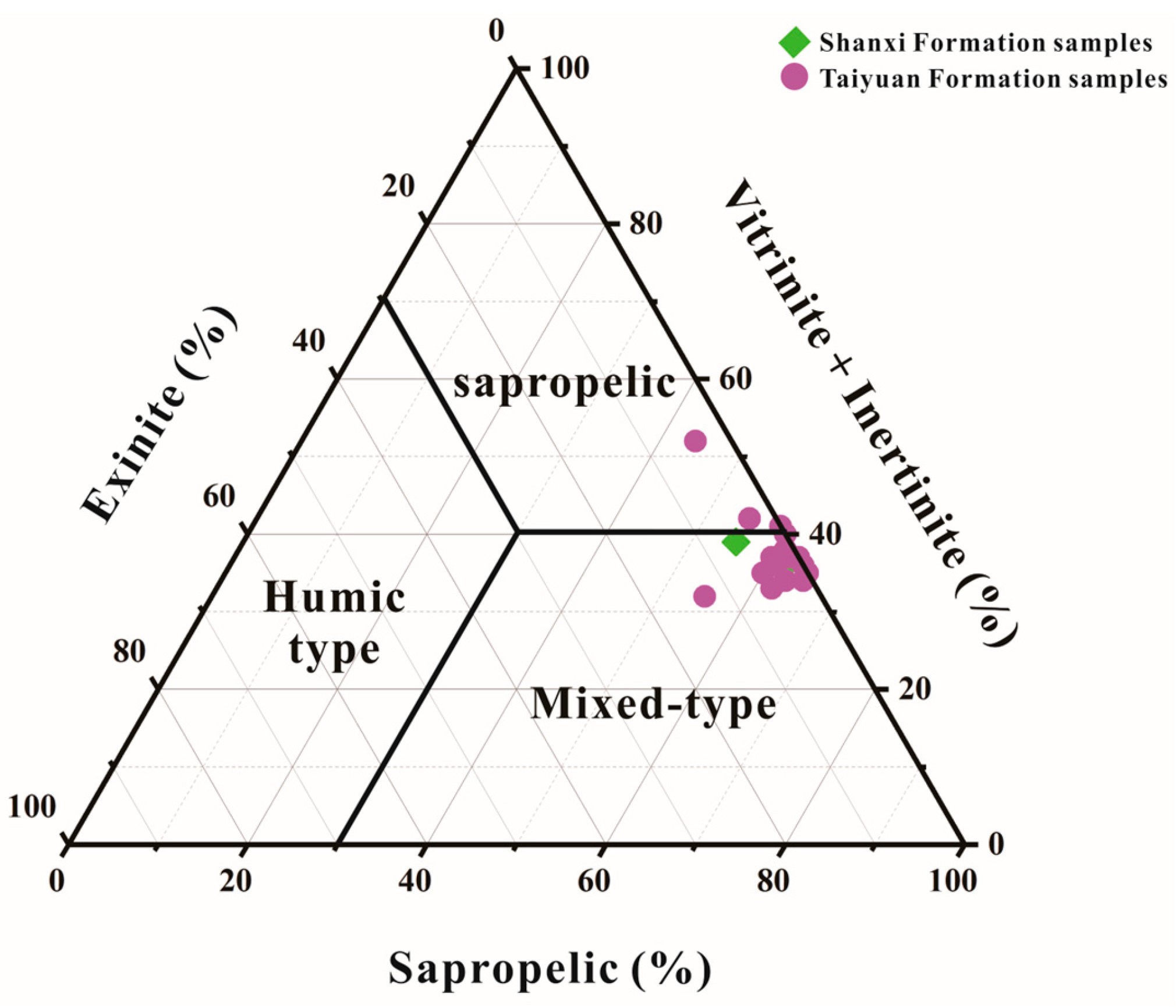 Processes 12 01399 g003