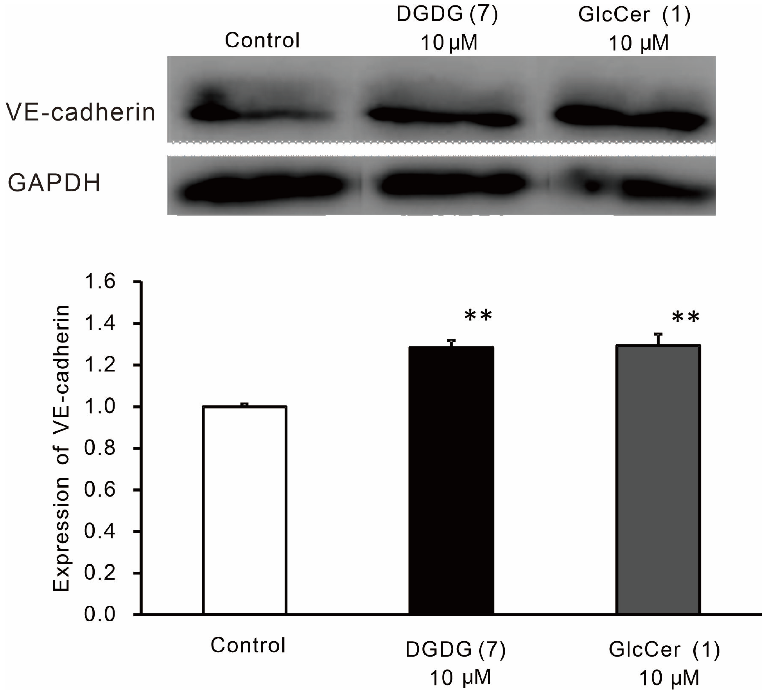 Processes 12 01421 g003 Processes 12 01421 g003