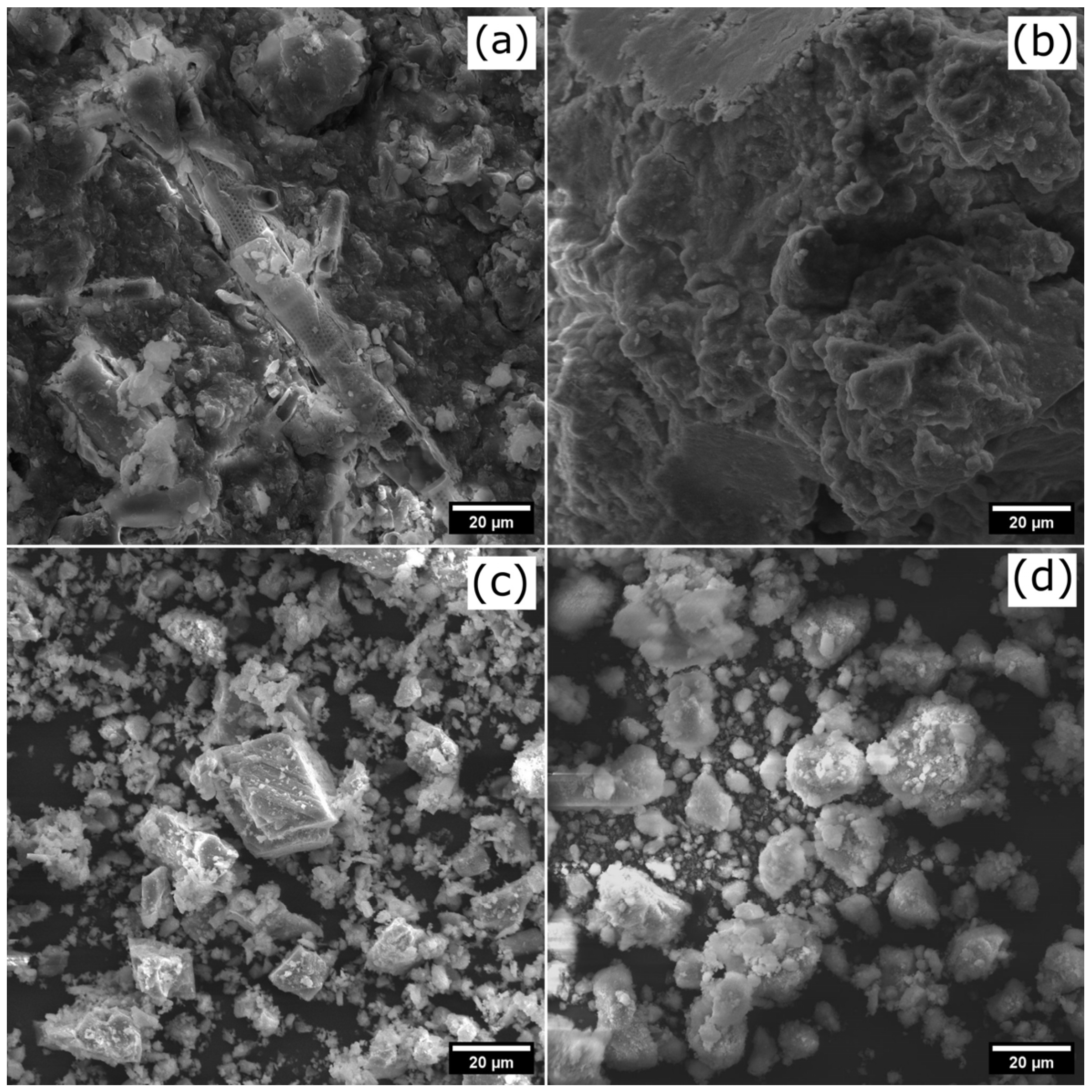 Processes 12 01430 g002