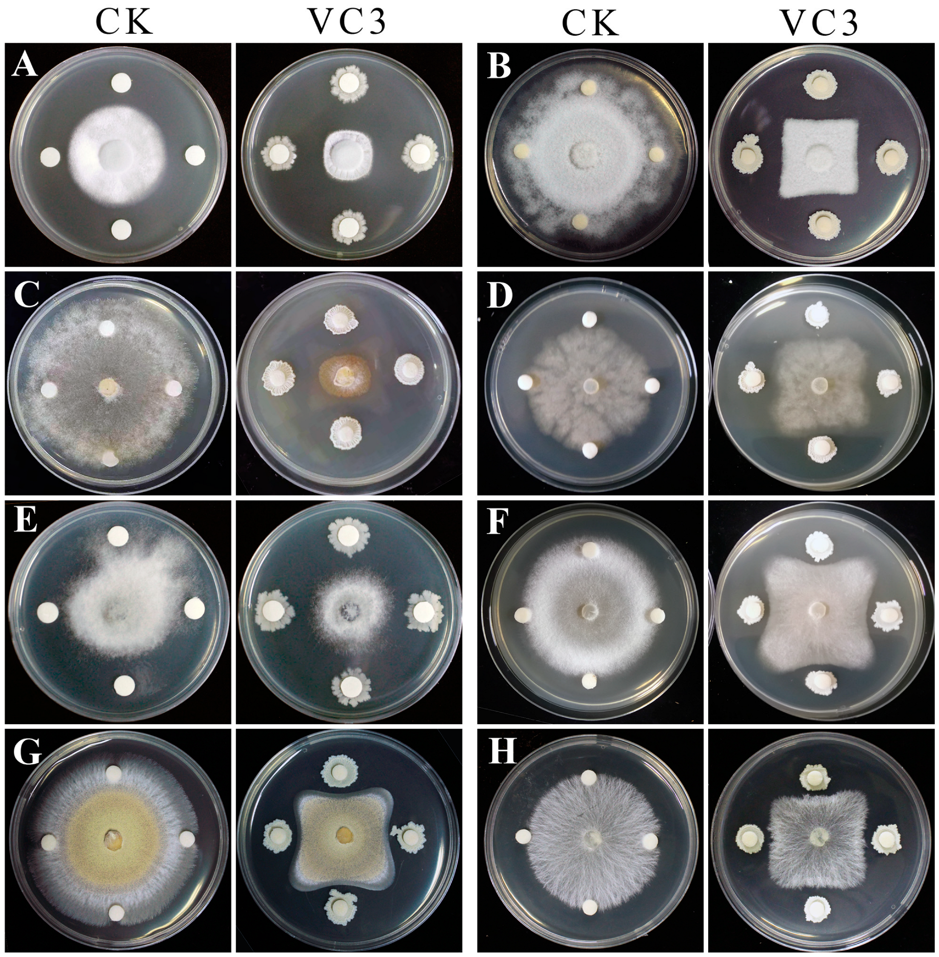 Processes 12 01490 g001