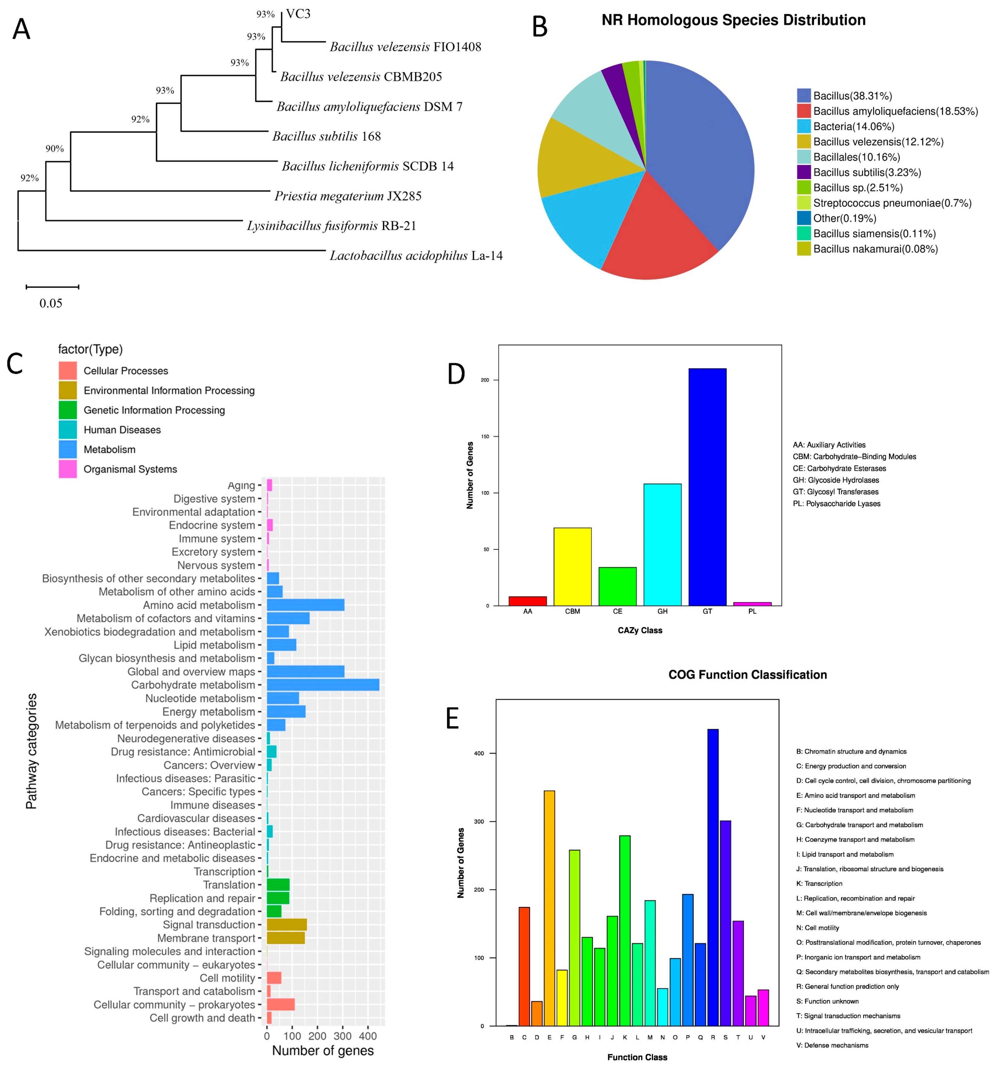 Processes 12 01490 g002