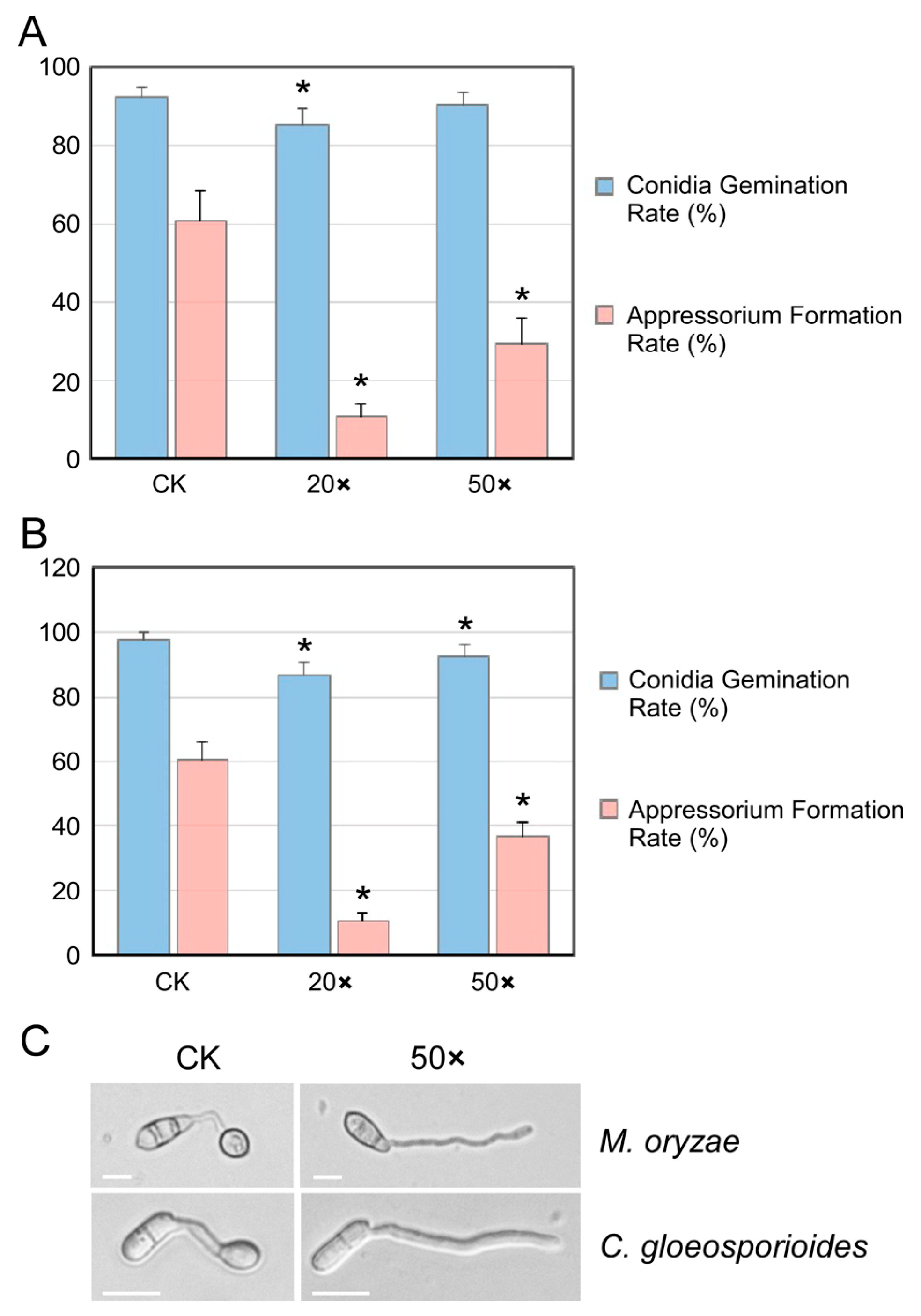 Processes 12 01490 g005