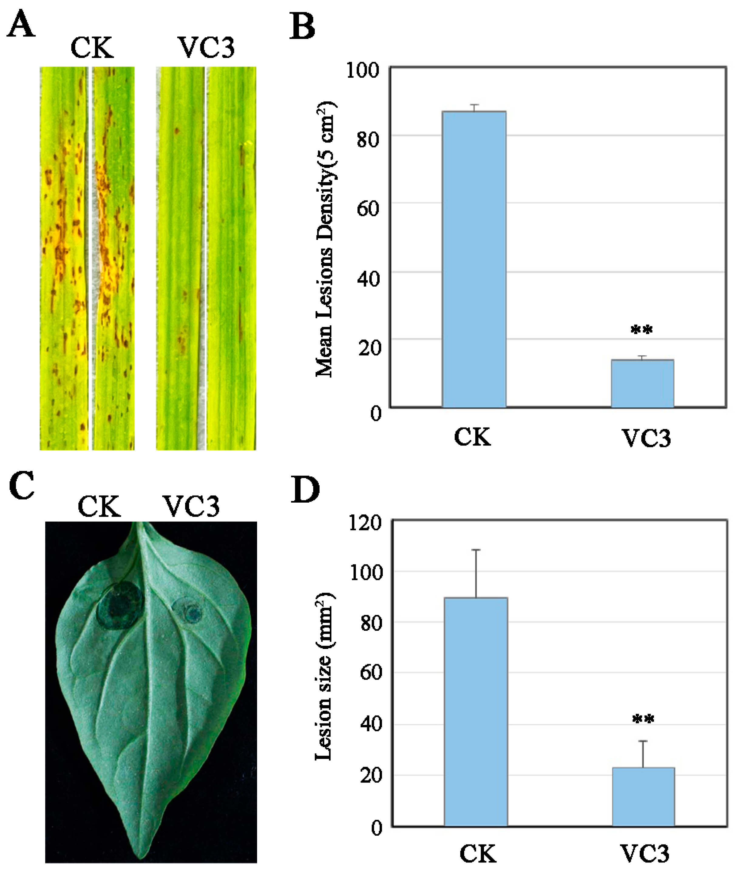 Processes 12 01490 g007