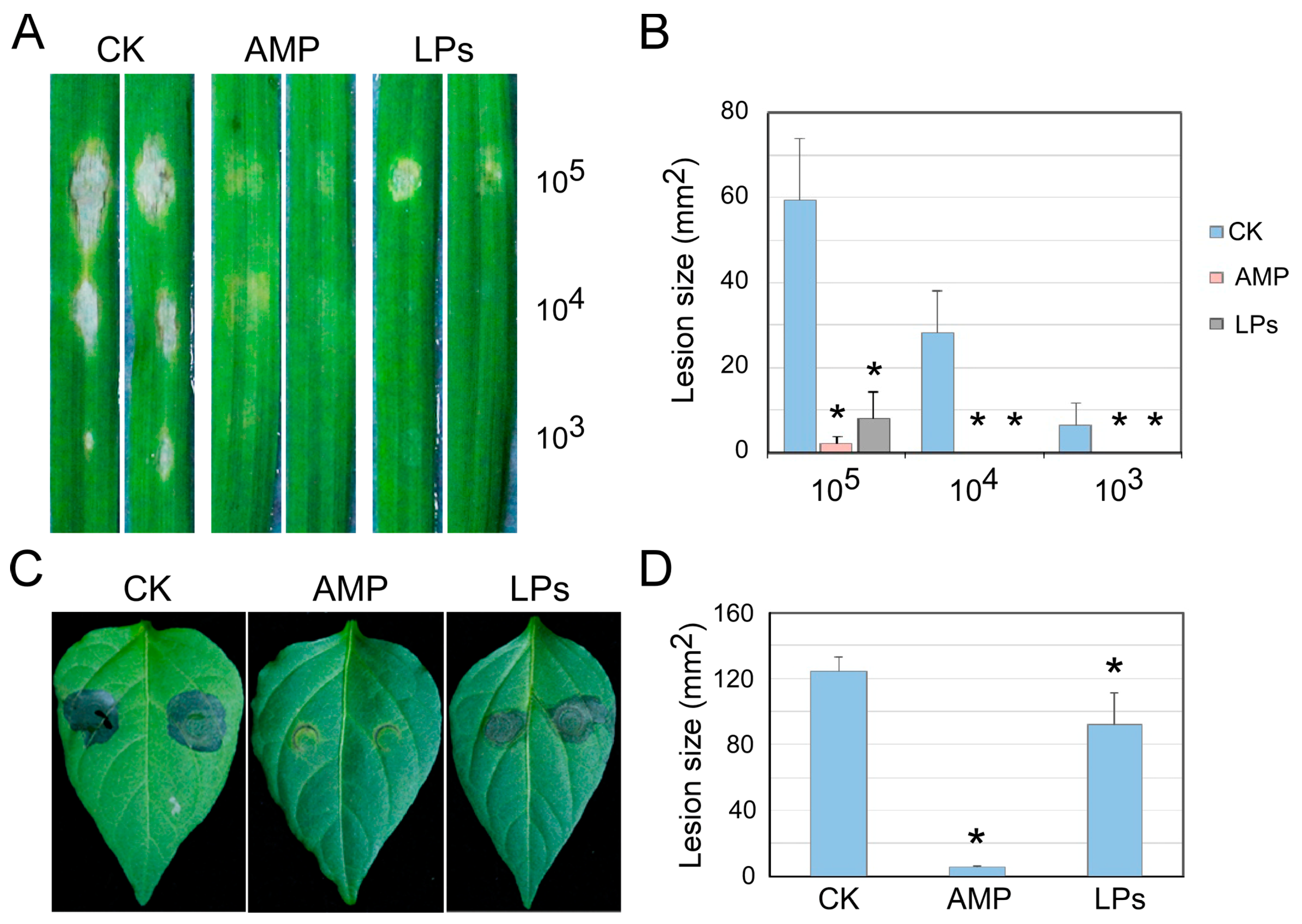 Processes 12 01490 g008