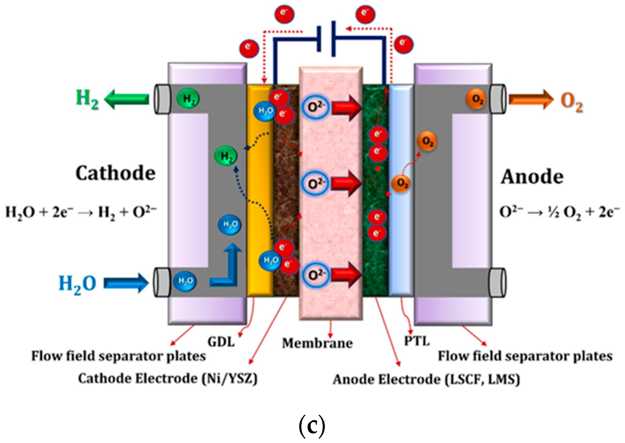 Processes 12 01518 g002b