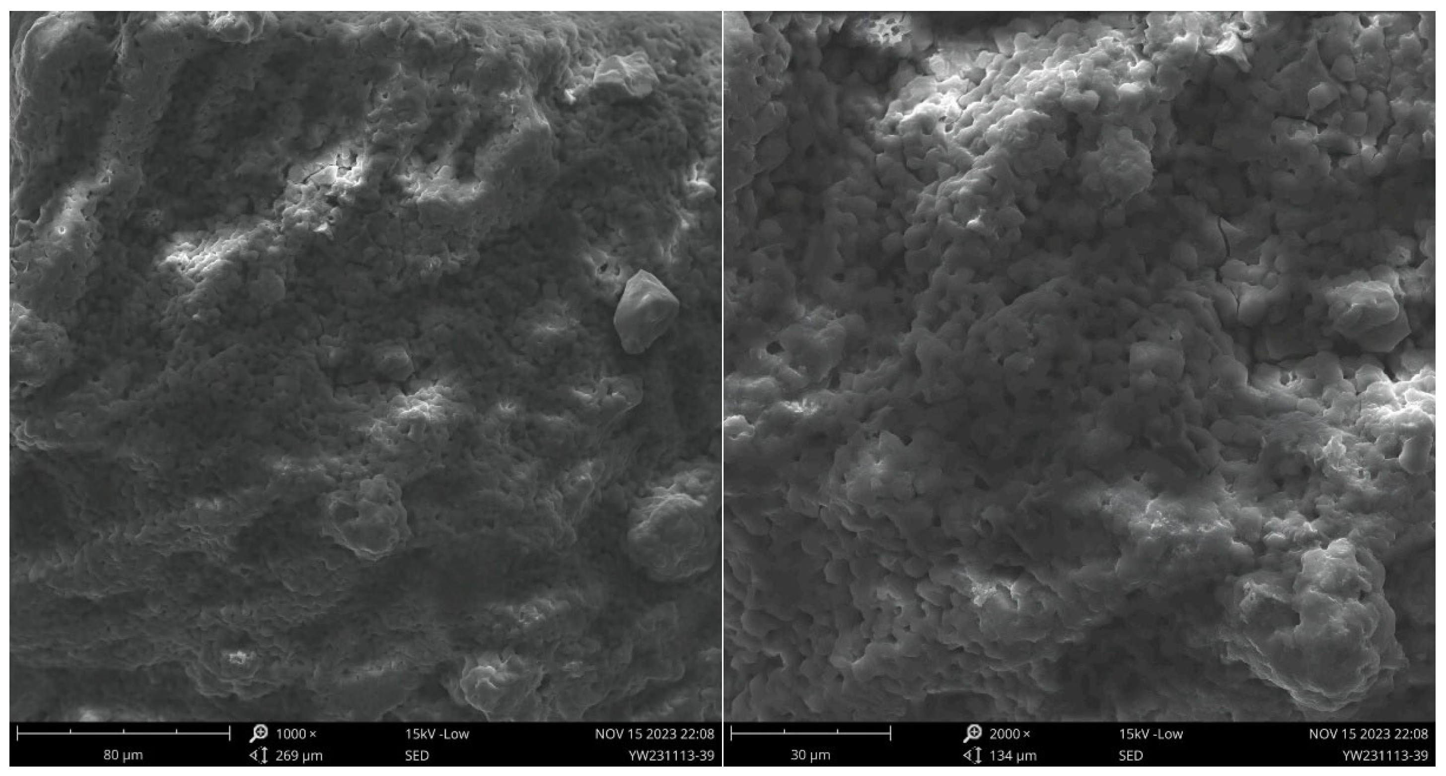 Processes 12 01524 g005