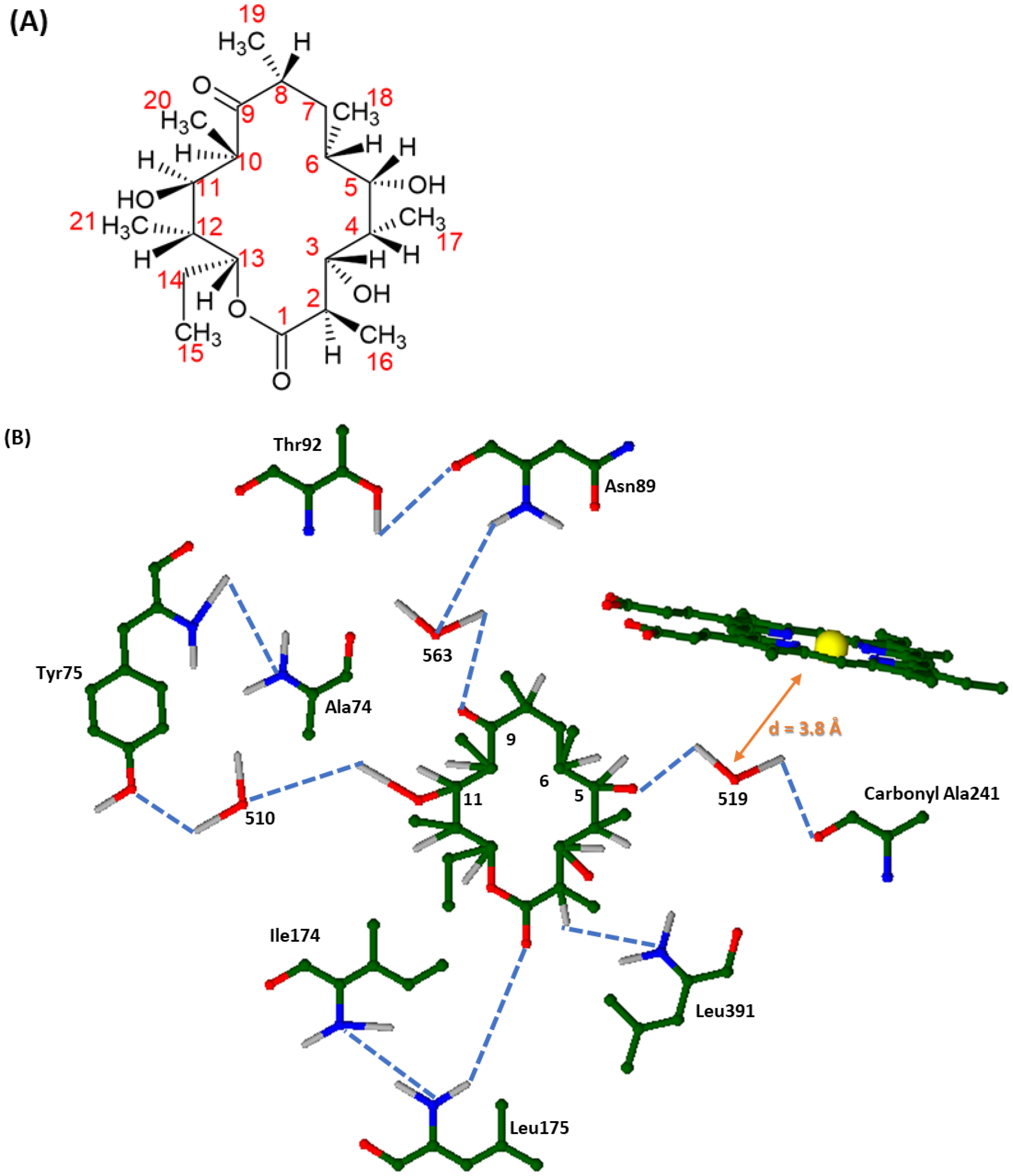 Processes 12 01533 g004