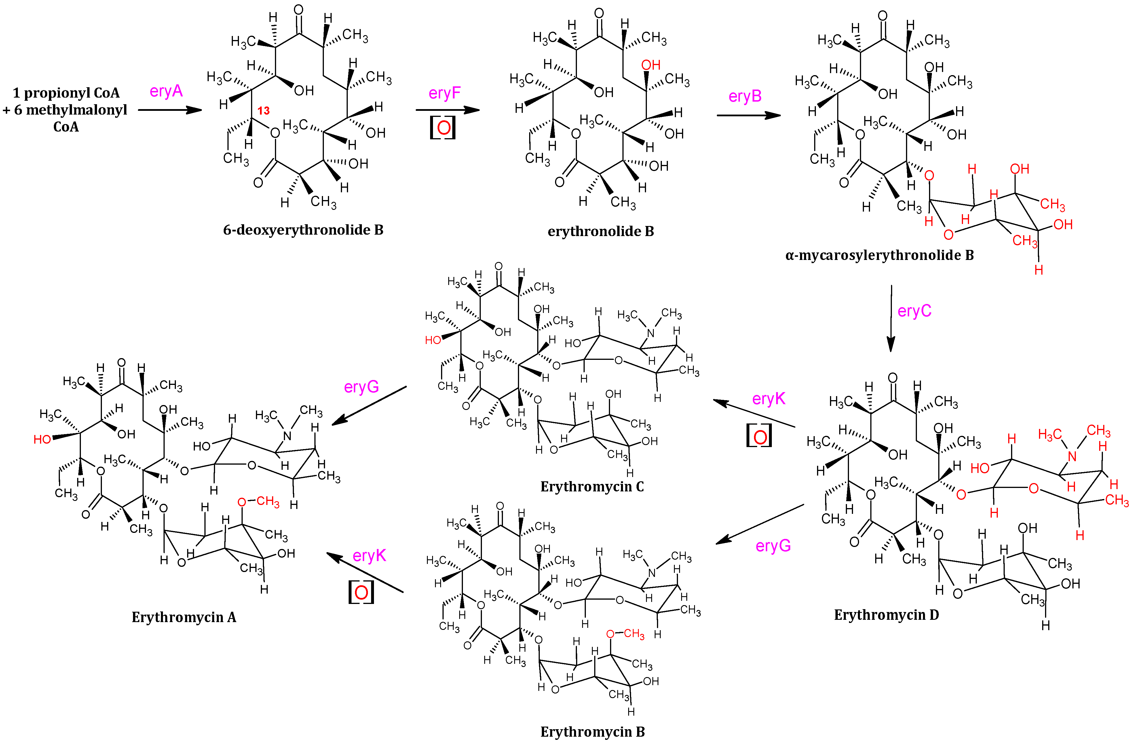 Processes 12 01533 g006
