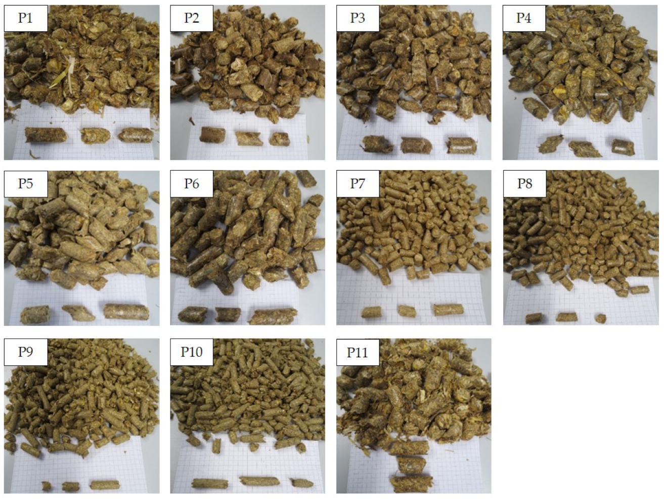Processes 12 01549 g0a1