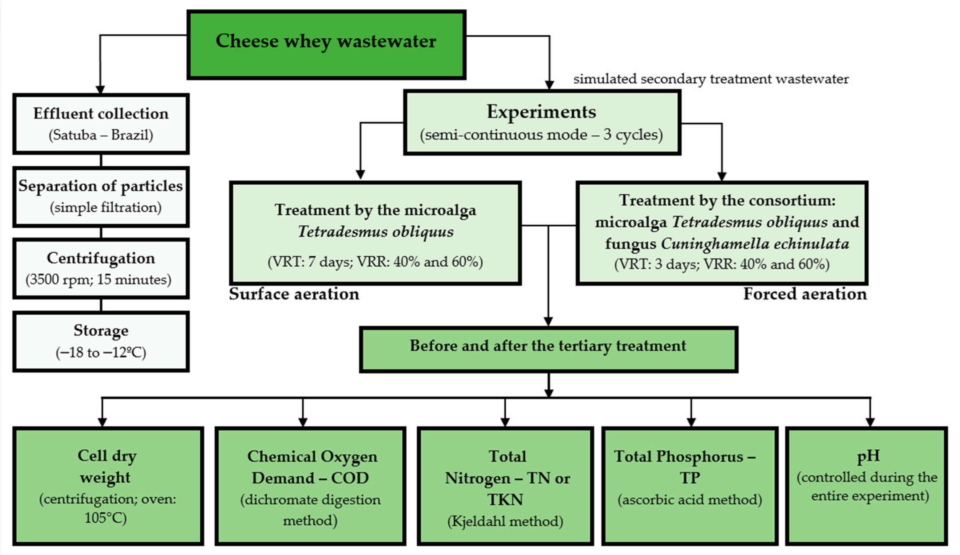 Processes 12 01573 g001