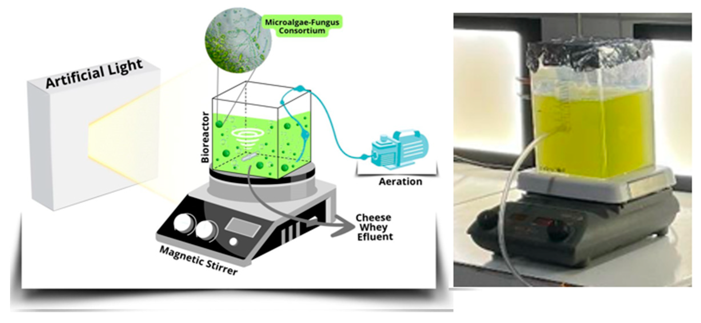 Processes 12 01573 g002