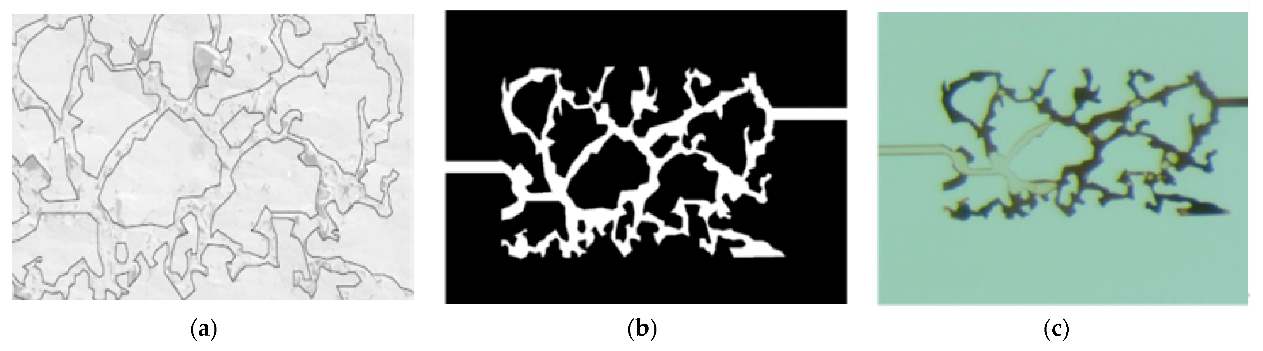 Processes 12 01608 g002