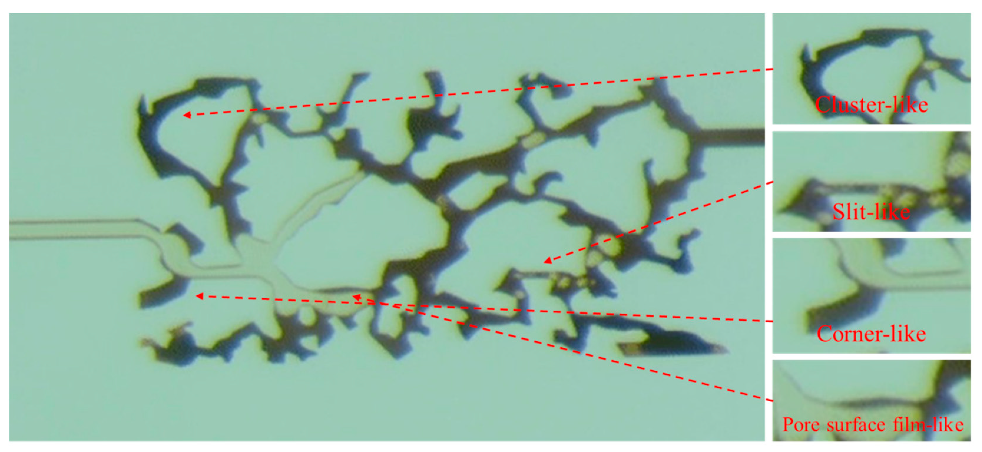 Processes 12 01608 g005