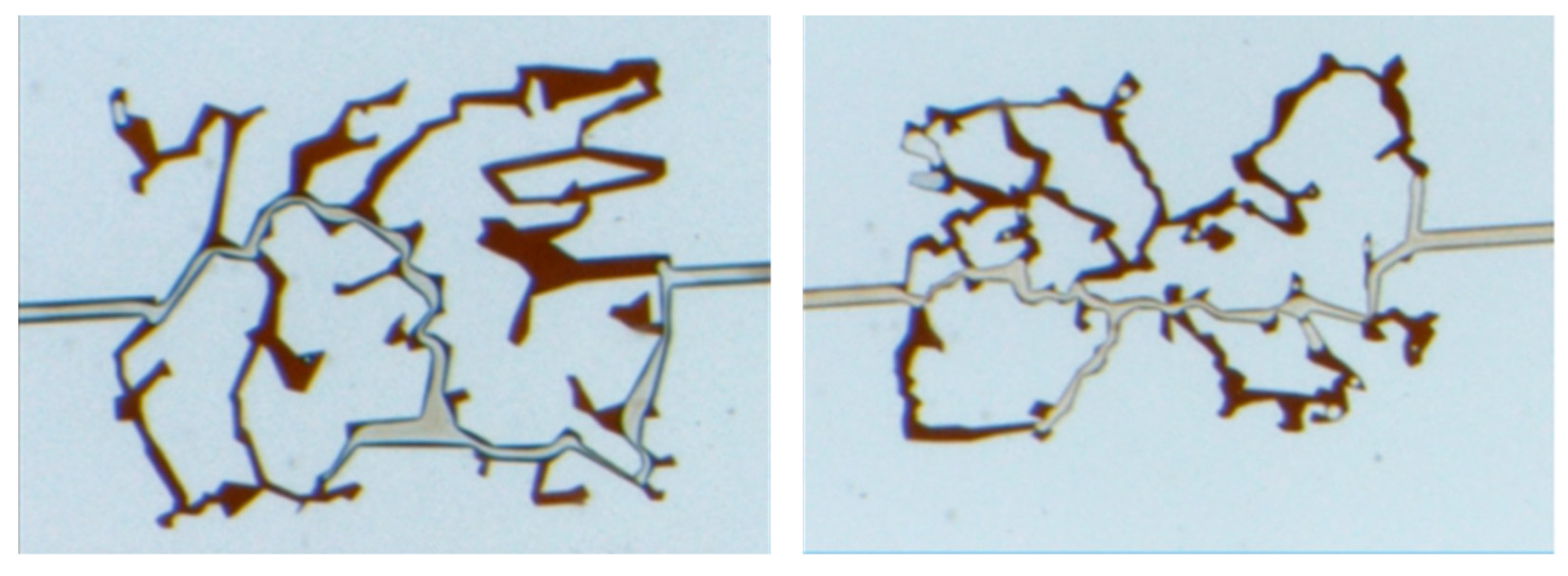 Processes 12 01608 g006