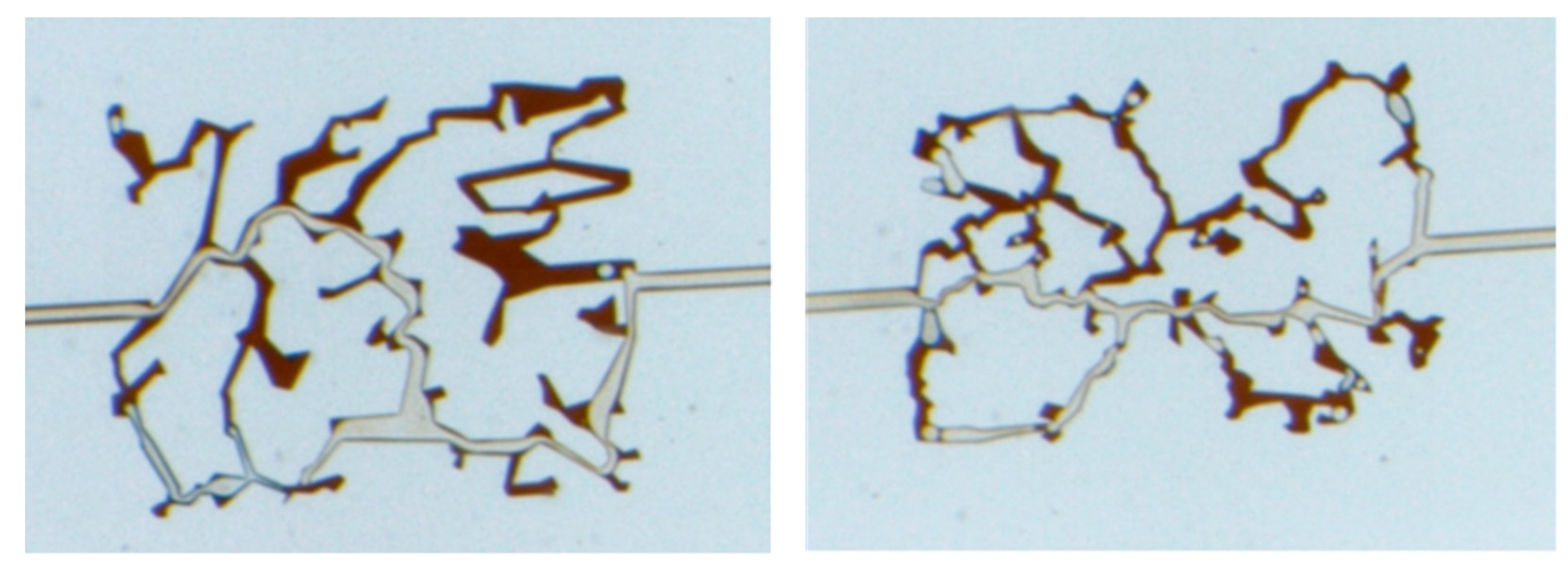 Processes 12 01608 g007