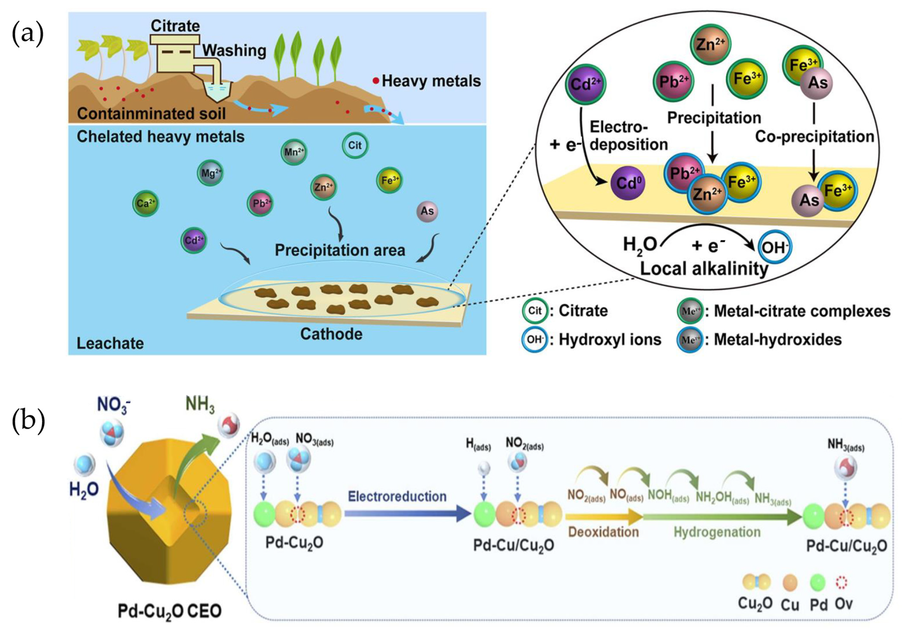 Processes 12 01615 g003 Processes 12 01615 g003