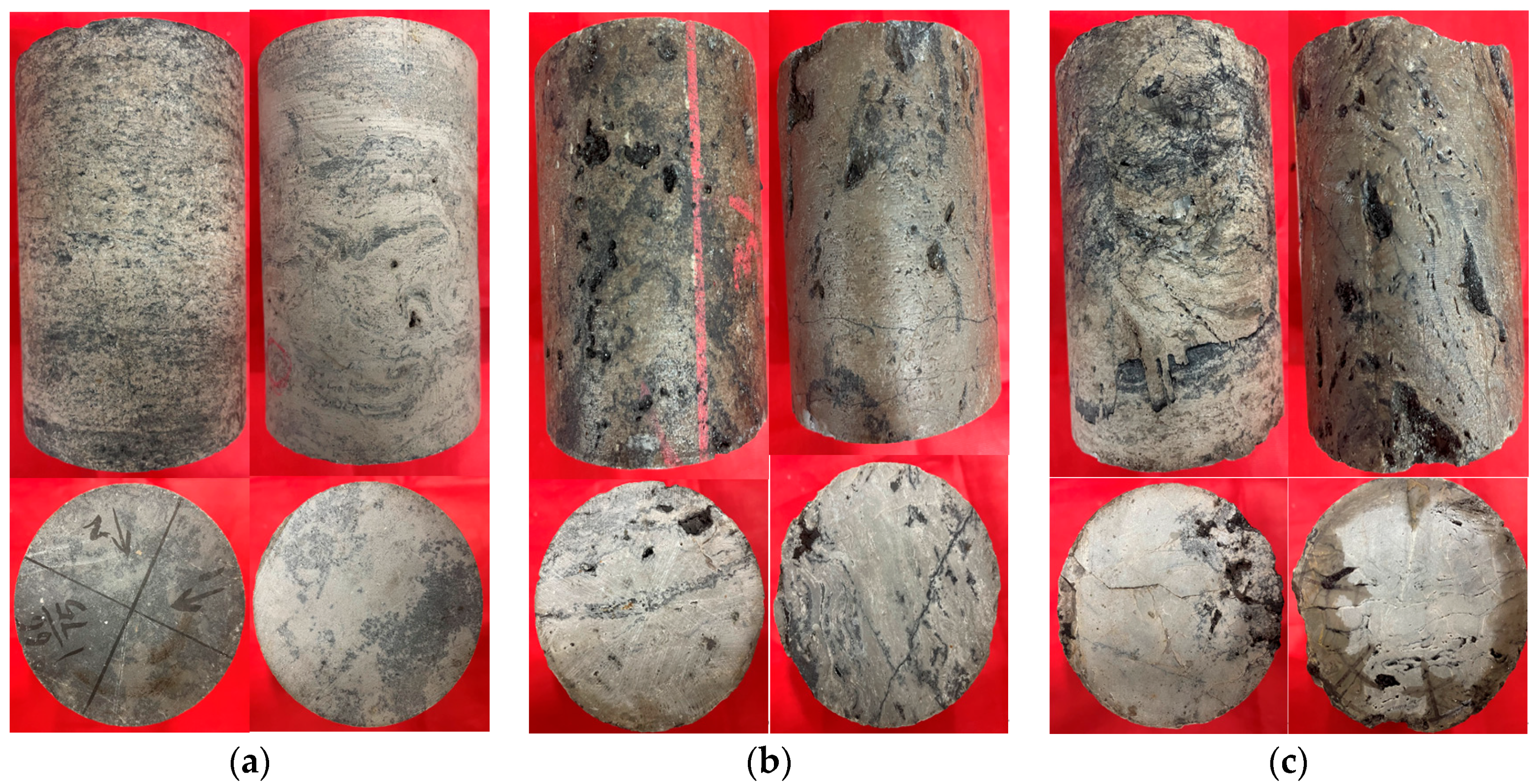 Processes 12 01619 g004 Processes 12 01619 g004