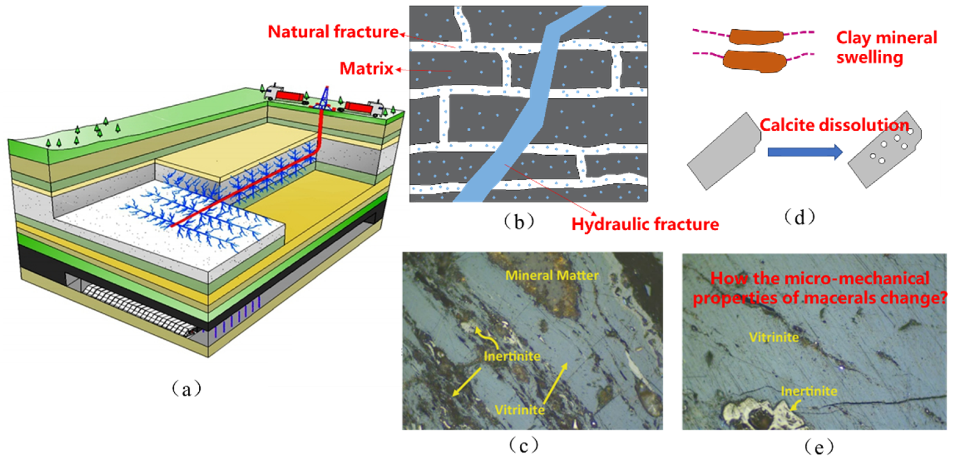 Processes 12 01636 g001