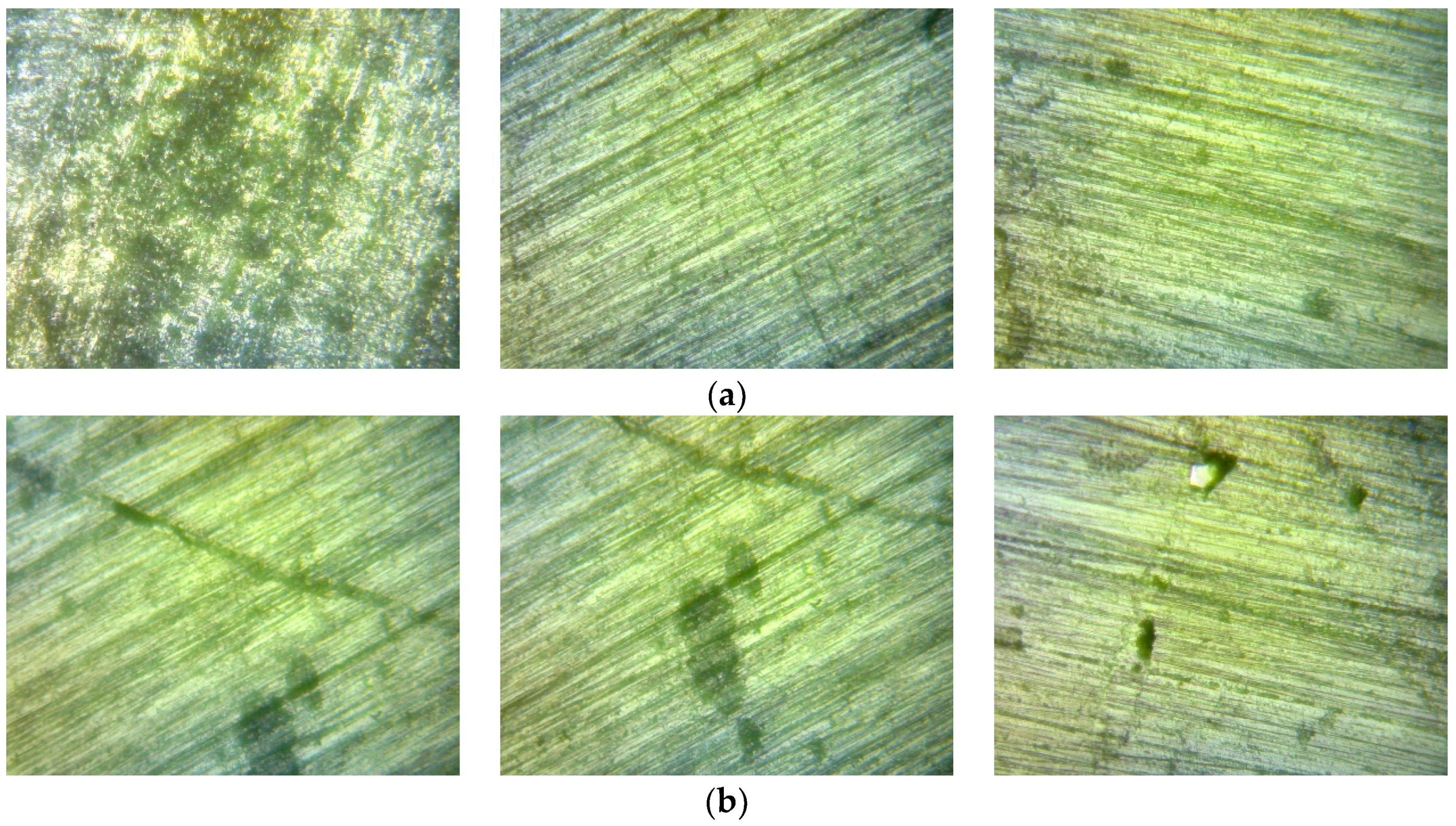 Processes 12 01636 g003