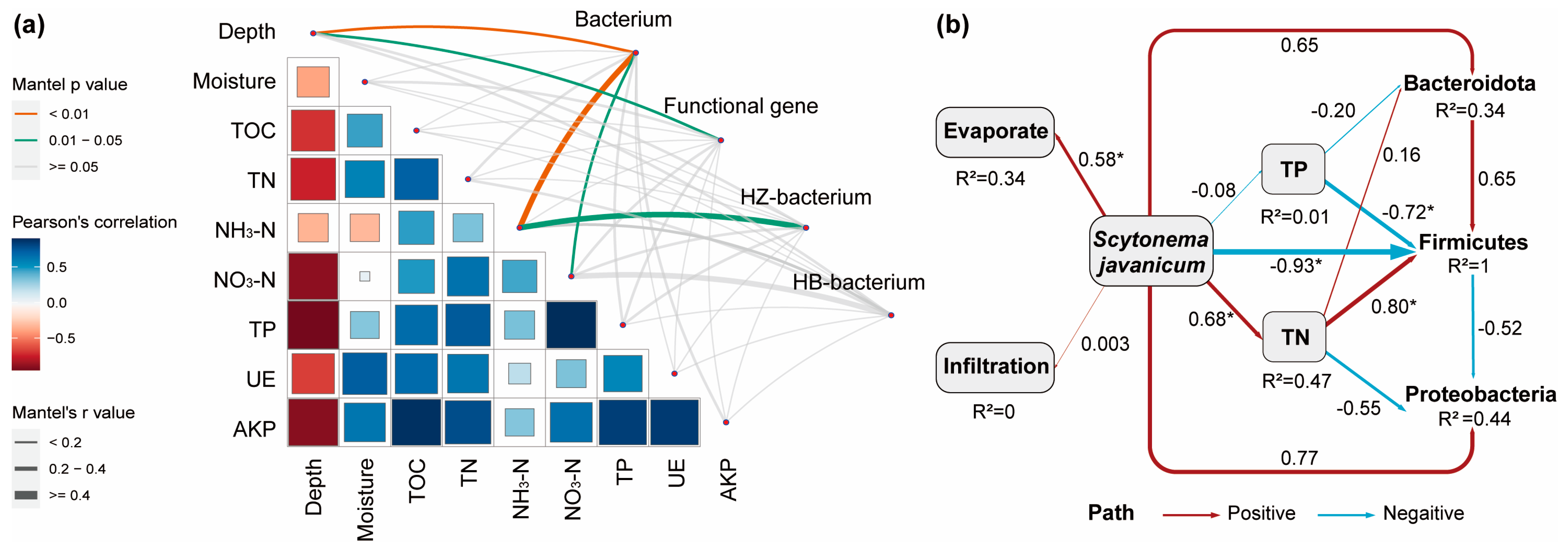 Processes 12 01639 g006