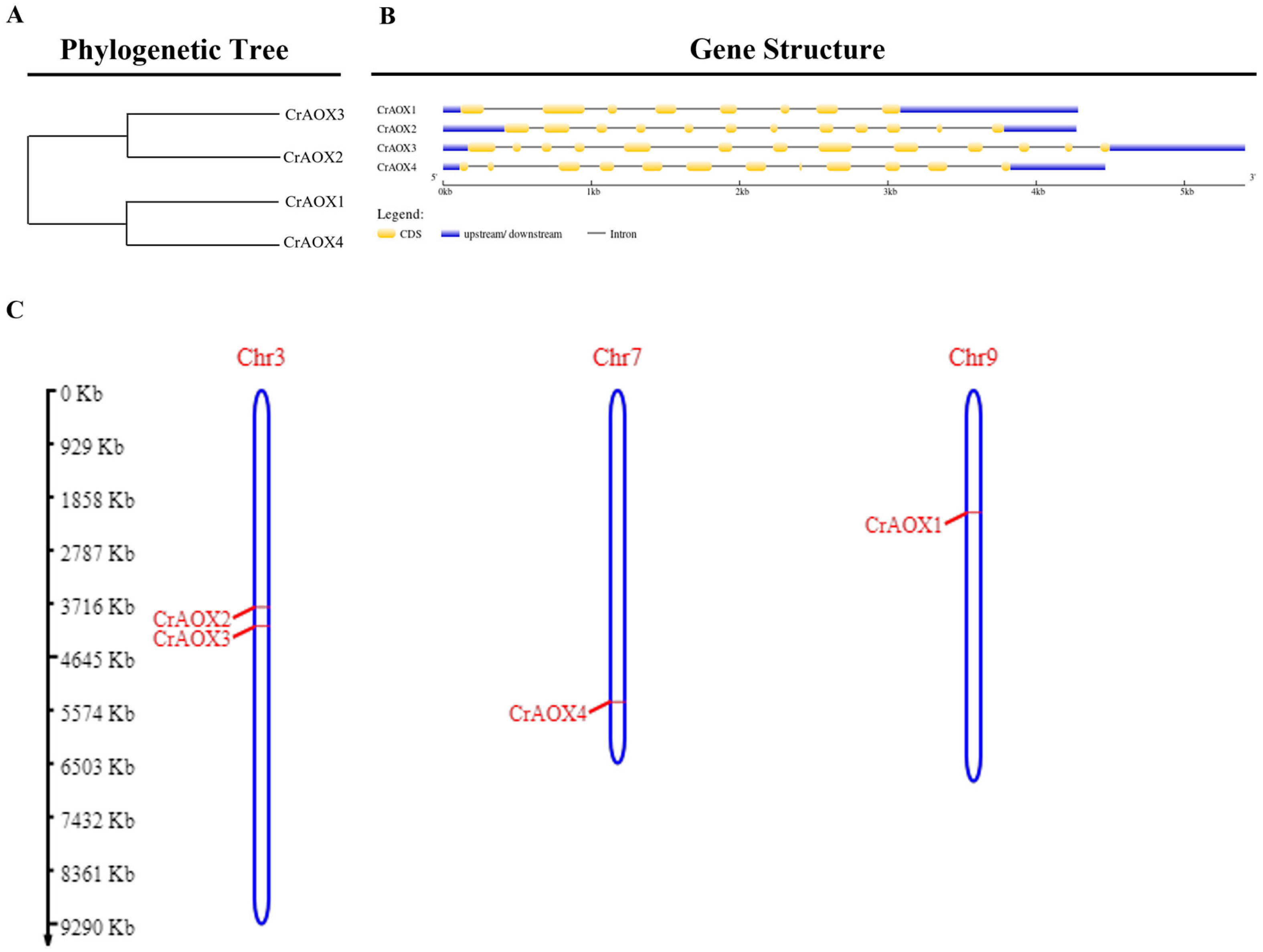 Processes 12 01654 g004