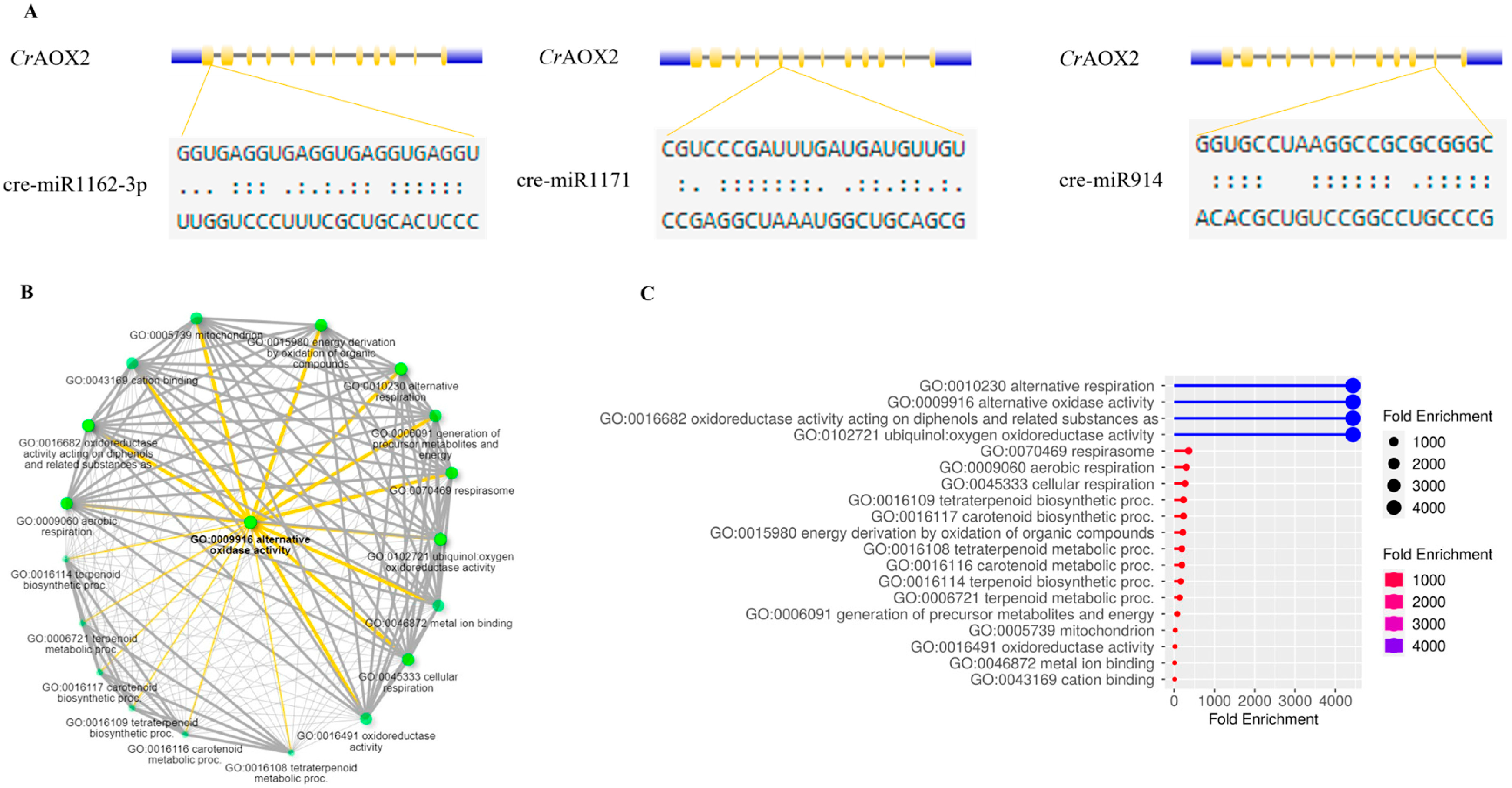 Processes 12 01654 g006