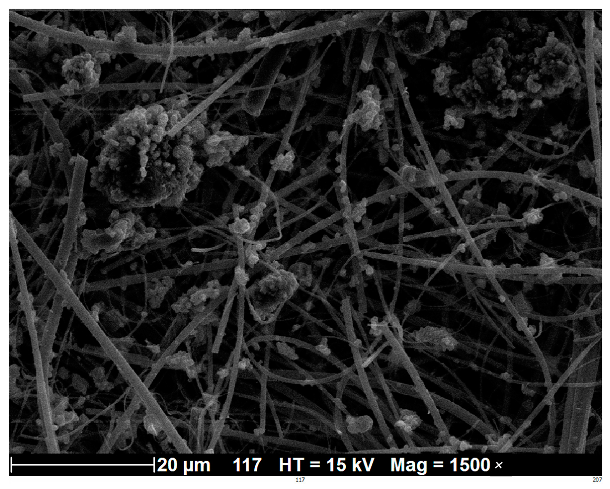 Processes 12 01655 g004 Processes 12 01655 g004