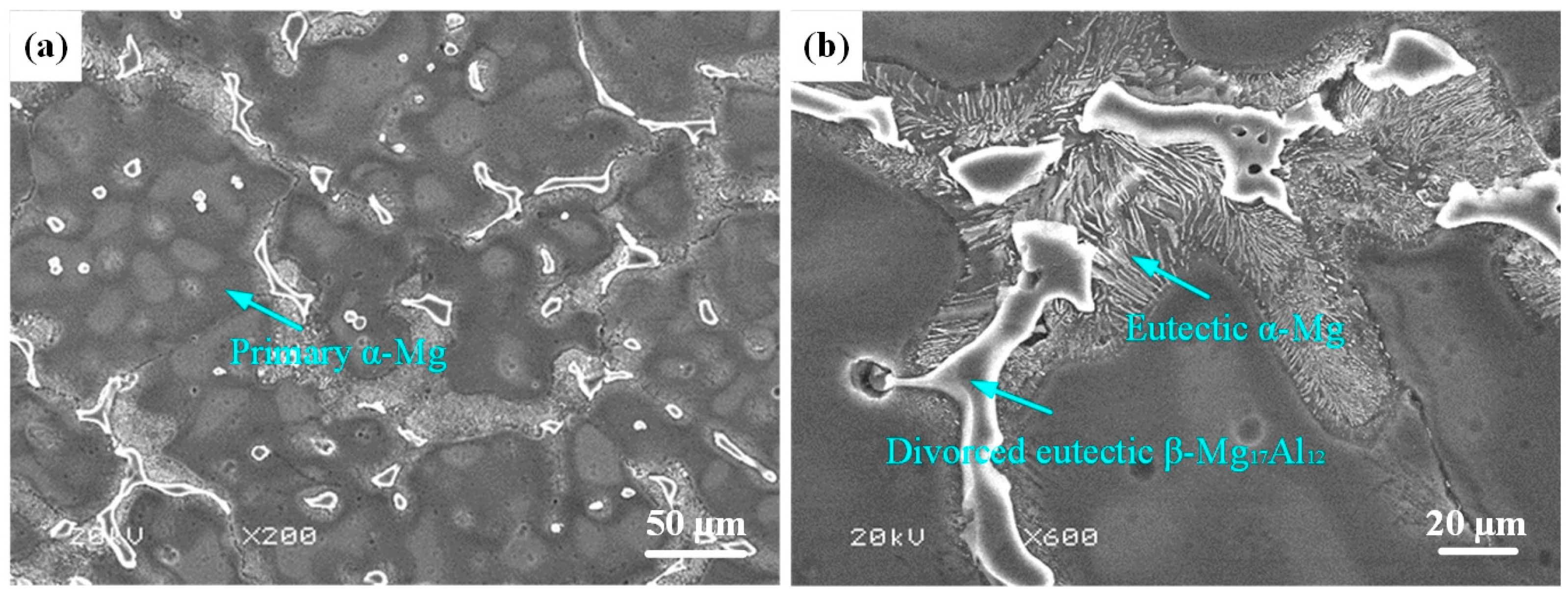 Processes 12 01689 g001