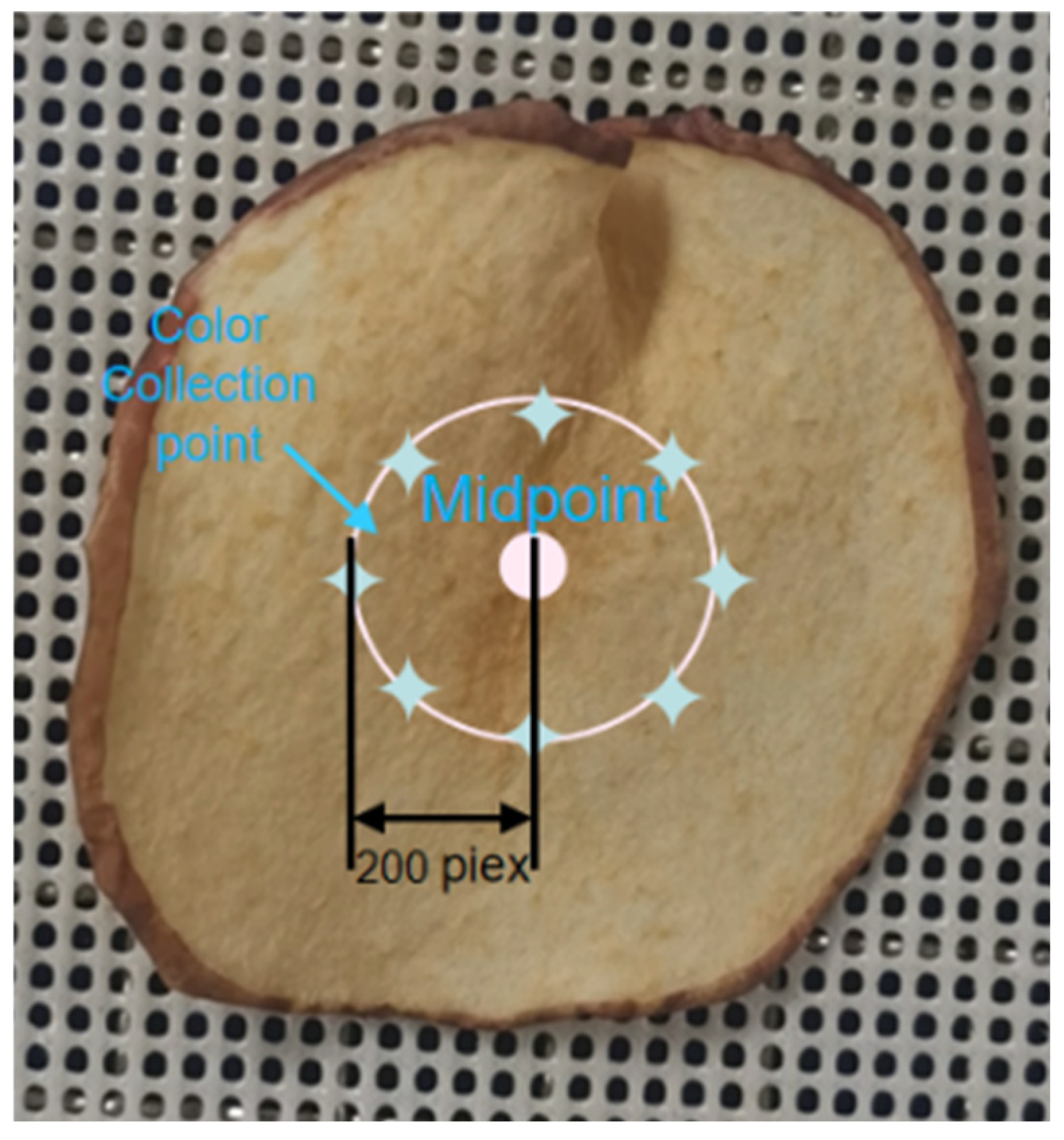 Processes 12 01724 g003