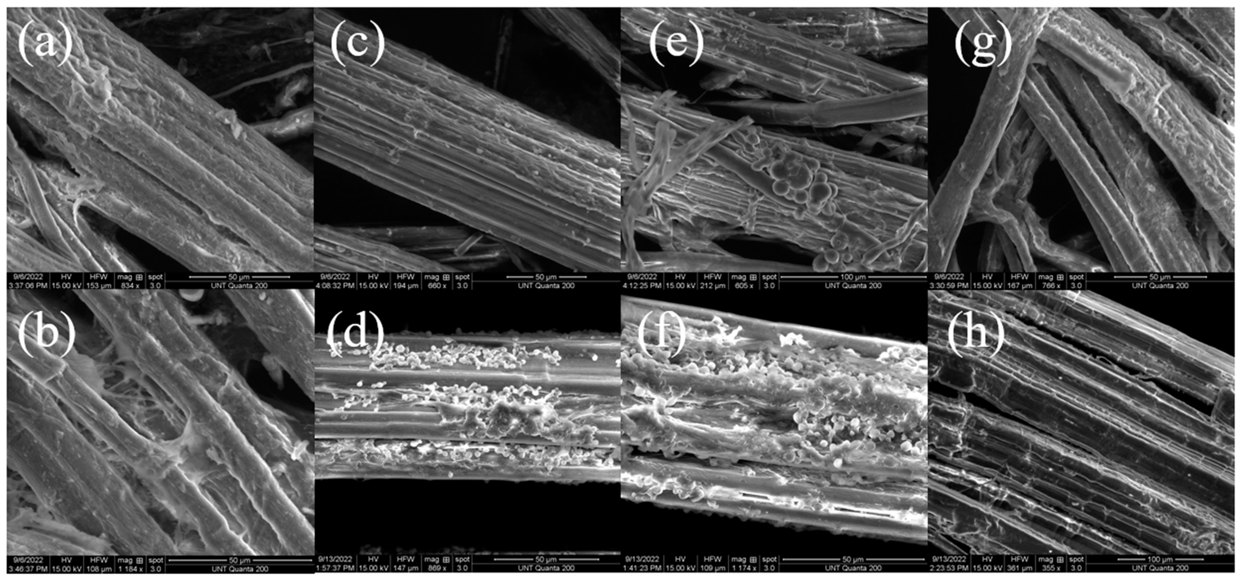 Processes 12 01725 g004 Processes 12 01725 g004