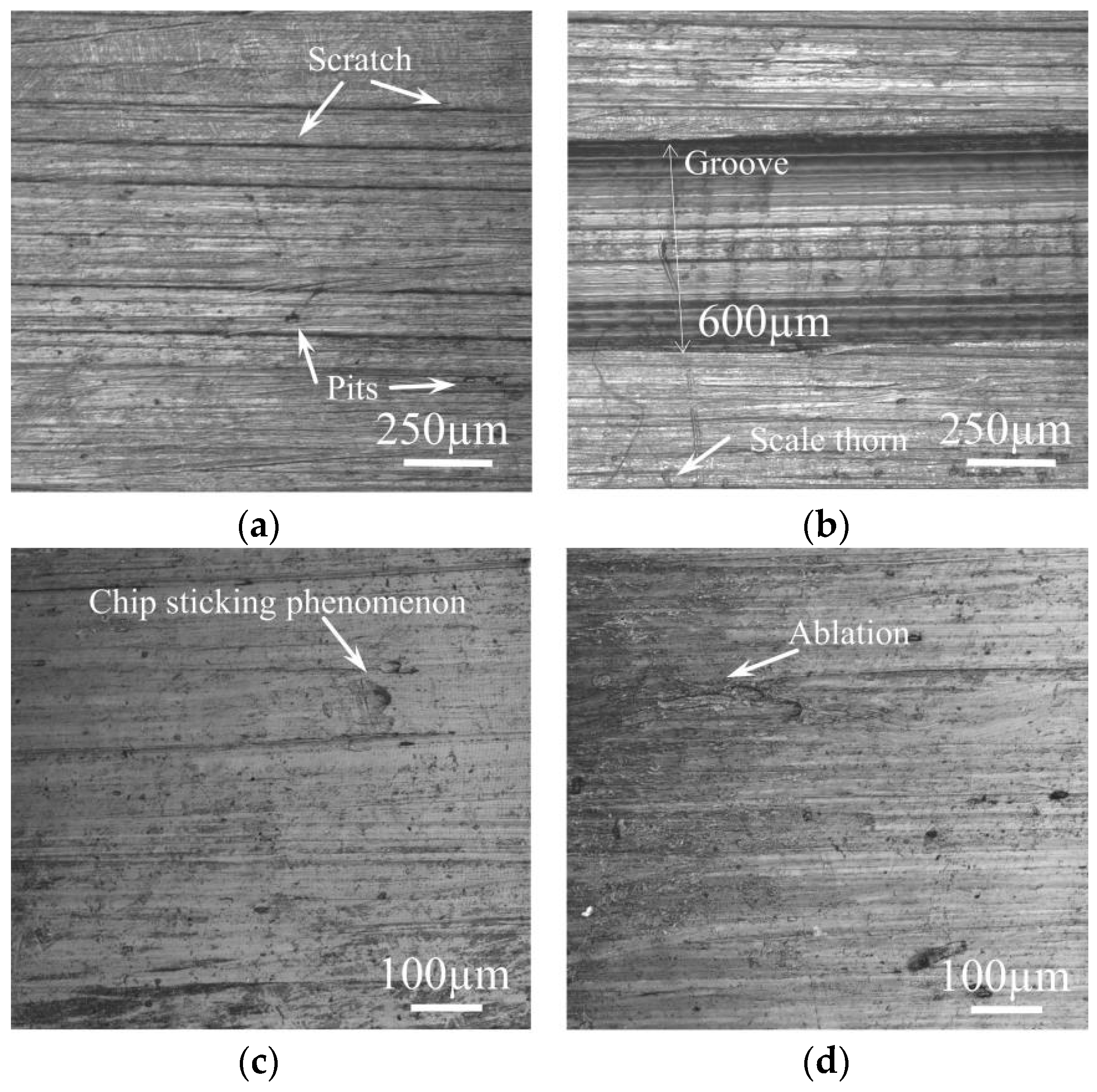 Processes 12 01747 g011 Processes 12 01747 g011