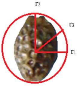 Processes 12 01752 i001