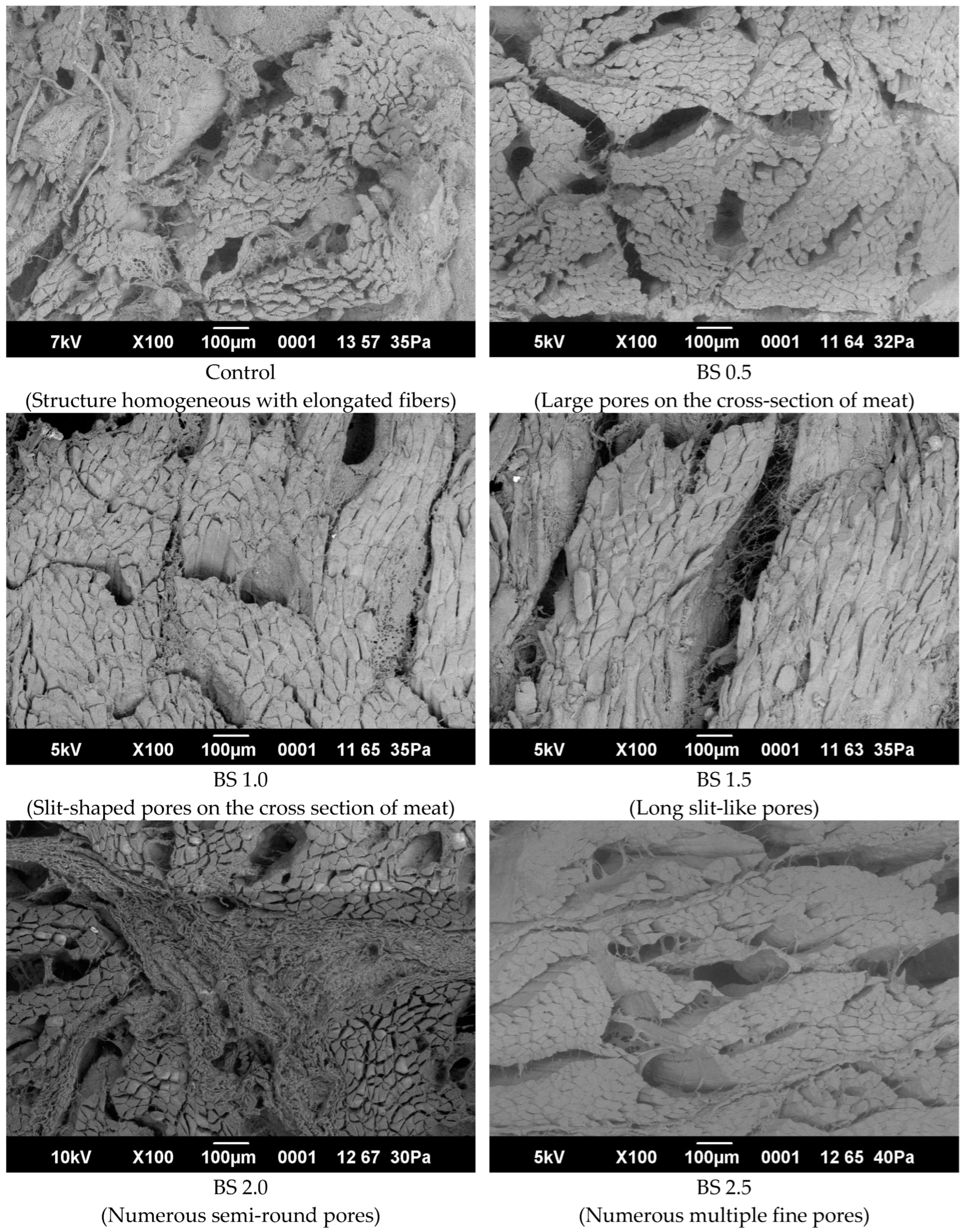Processes 12 01766 g005a