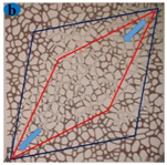Processes 12 01775 i008