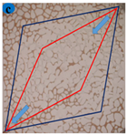 Processes 12 01775 i009