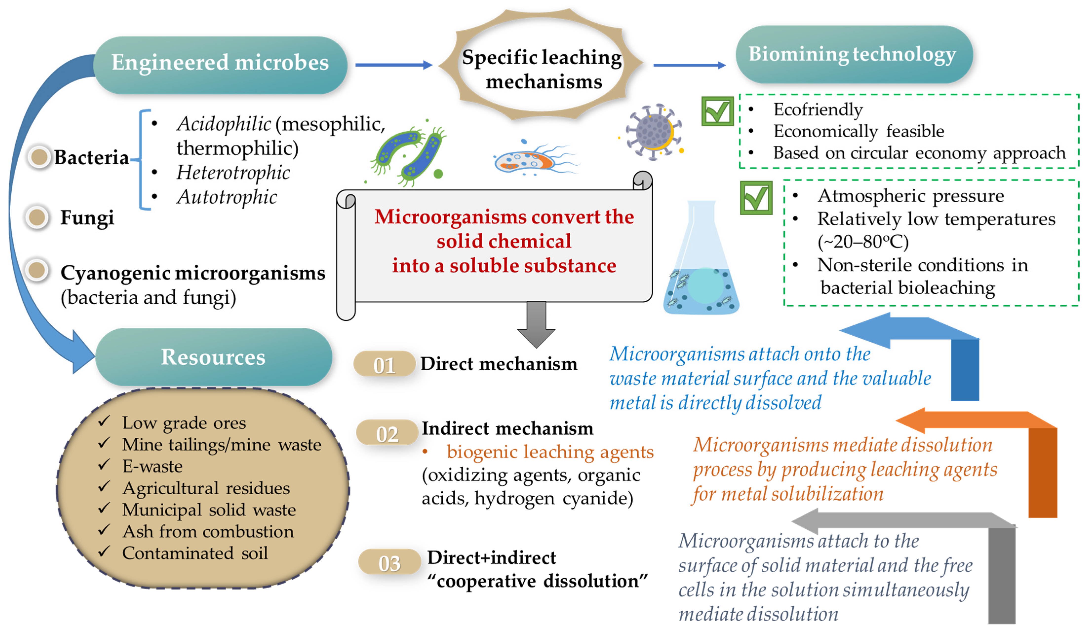 Bio-Recovery of Metals through Biomining within Circularity-Based ...