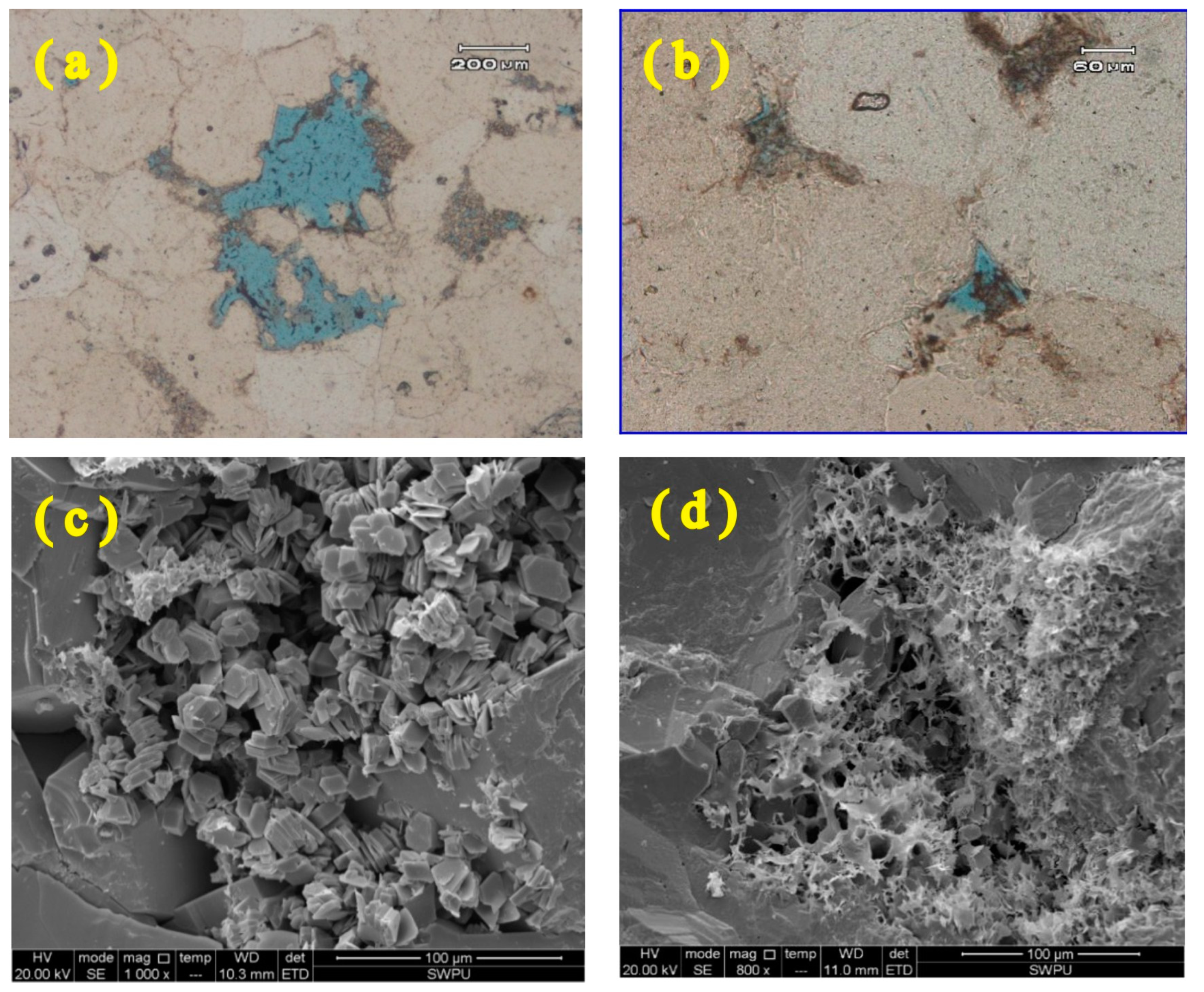 Processes 12 01810 g006