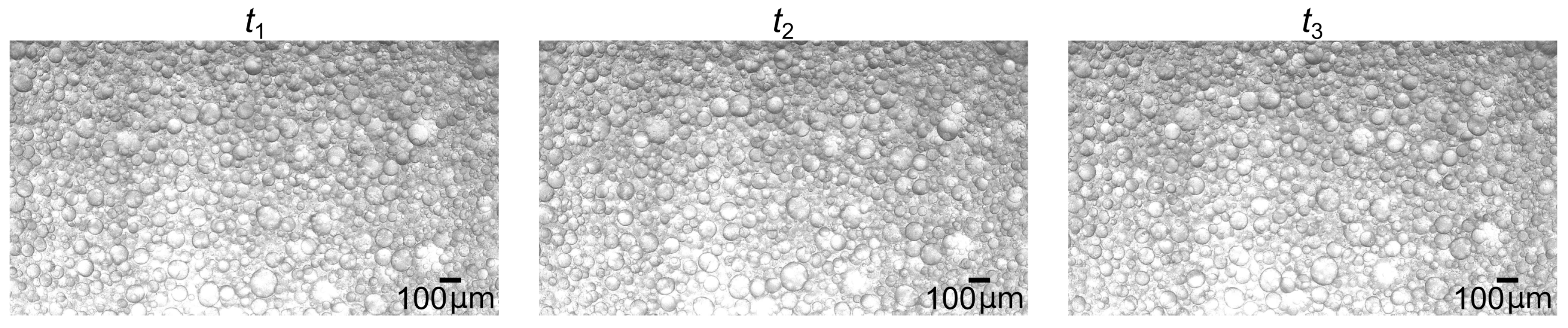 Processes 12 01821 g0a1